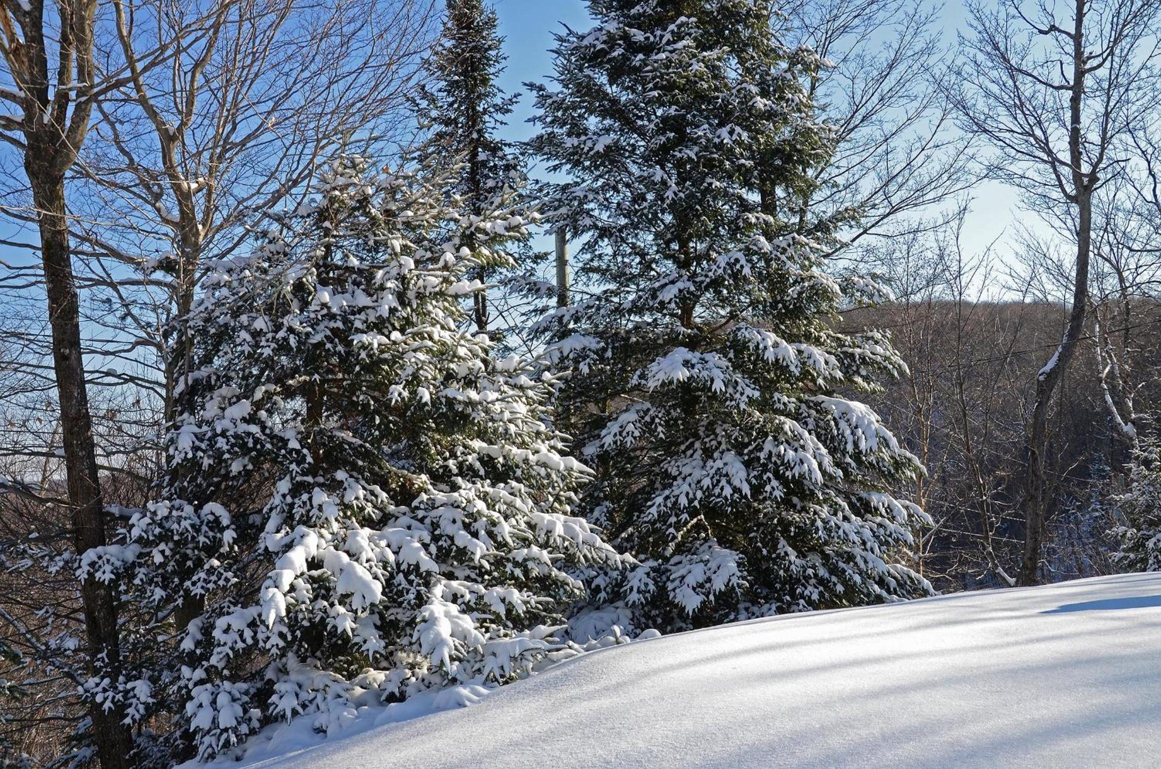 Jardin du Village by Chez Tremblant view 2