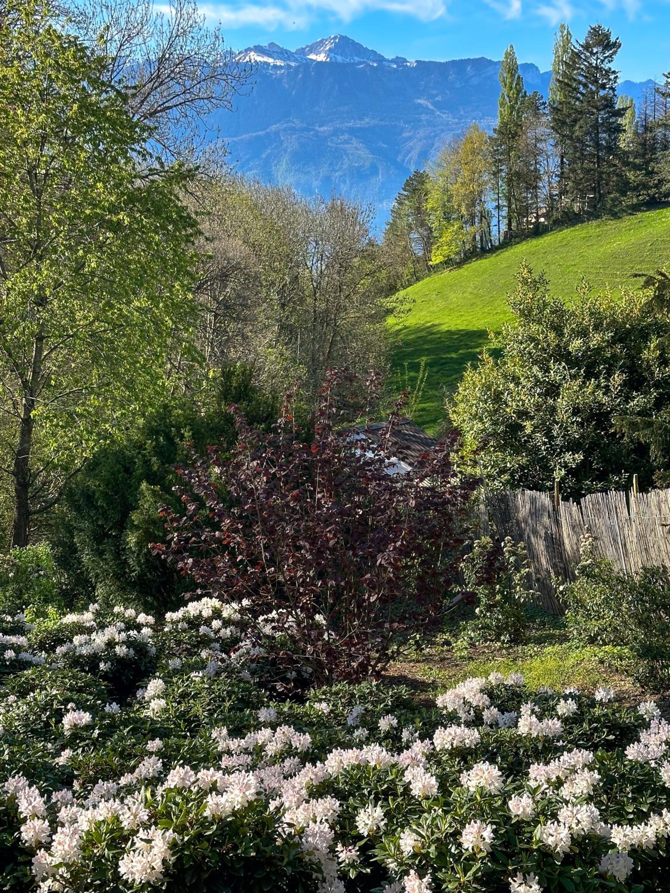 Domaine du Deven Grandvaux