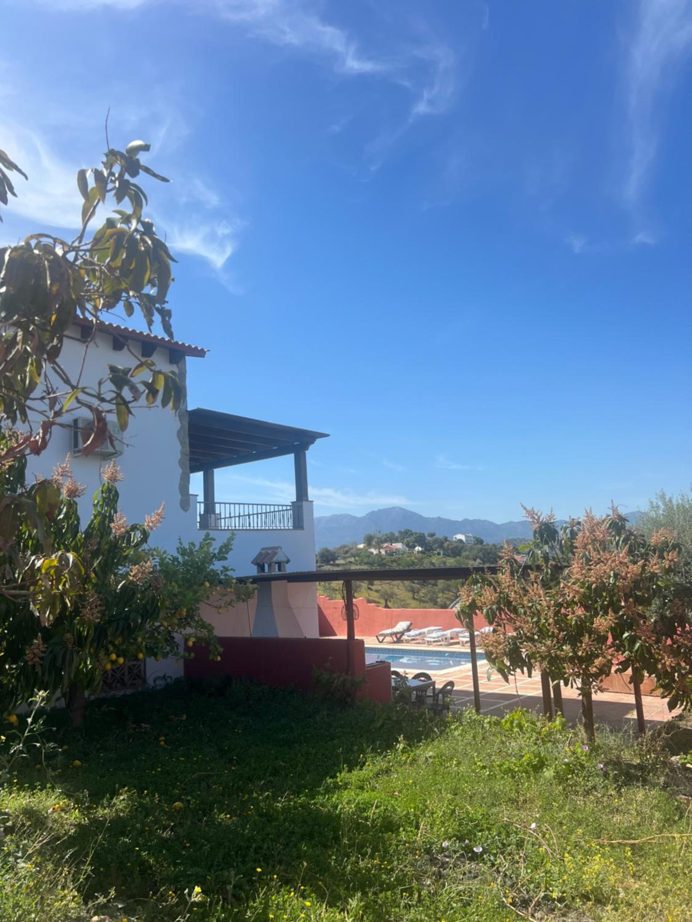 Casa peace