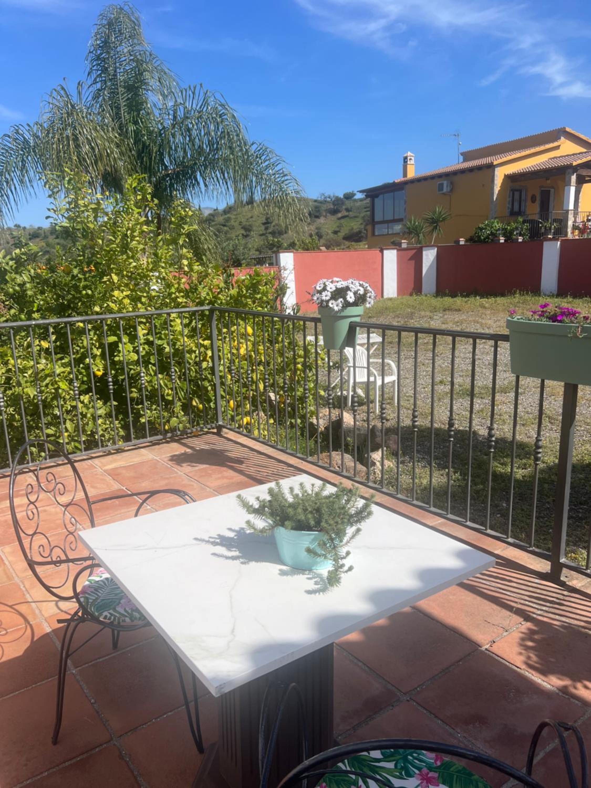 Casa peace