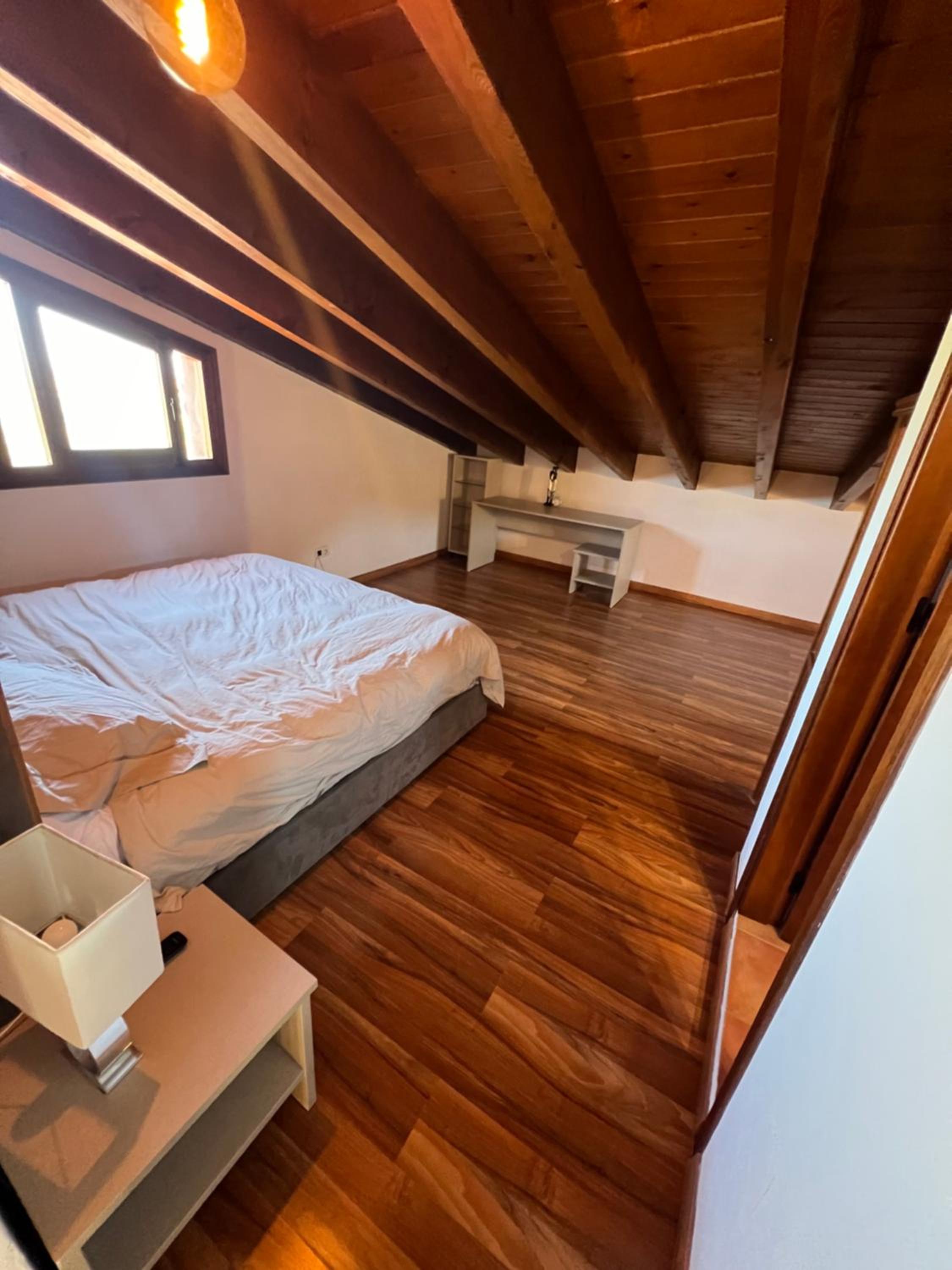 Casa peace