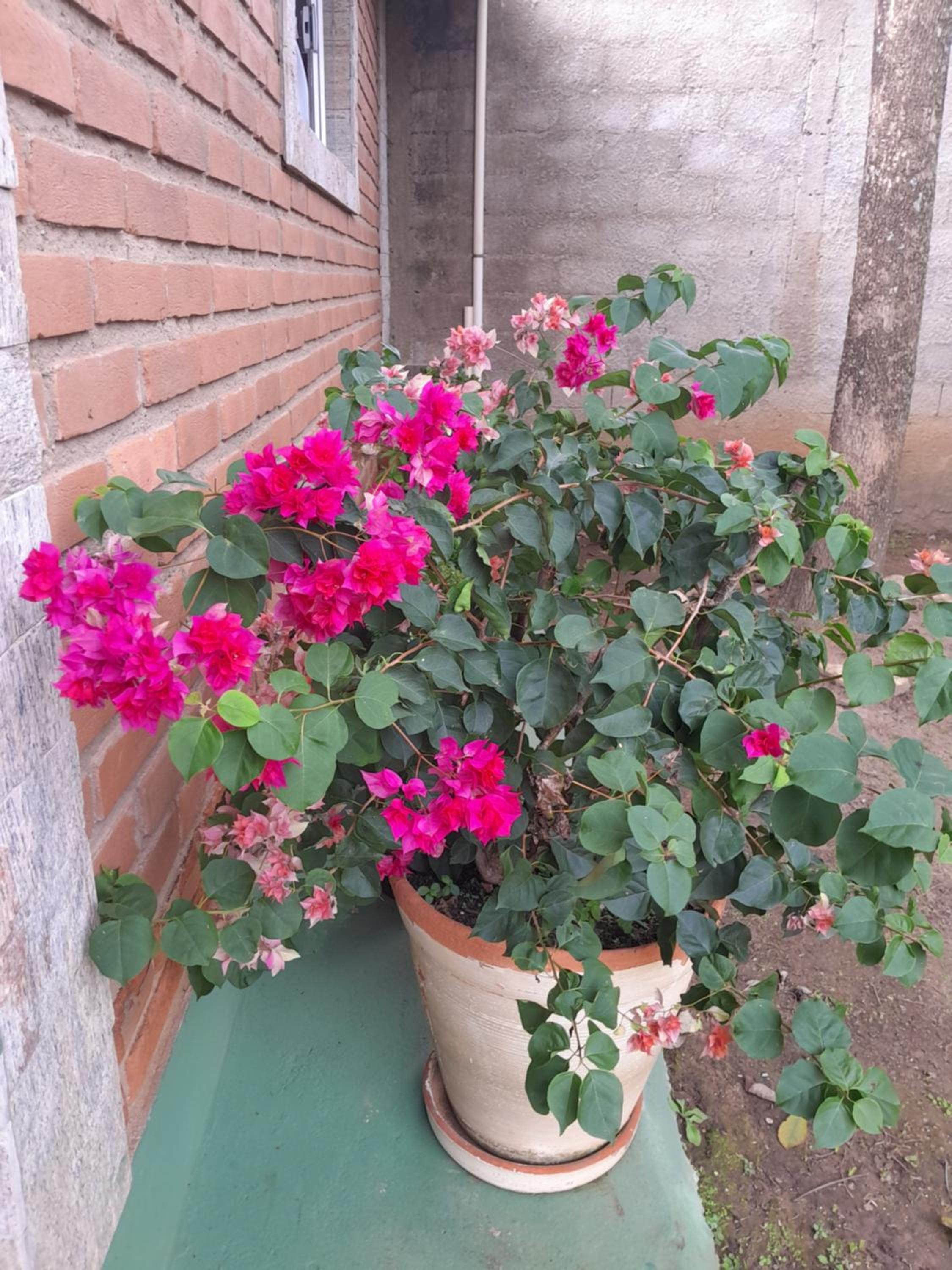 Cantinho Aconchegante no Centro