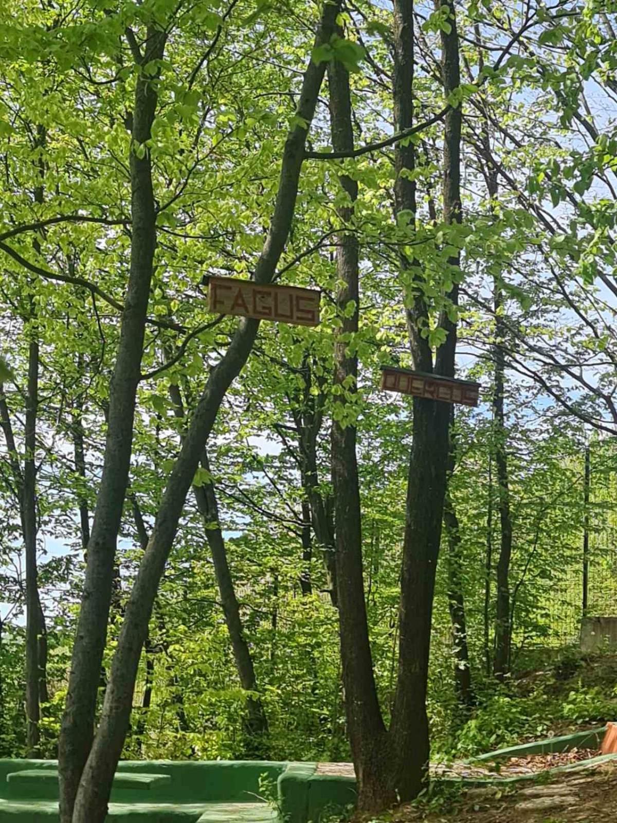 Cabin 4 Hill Station