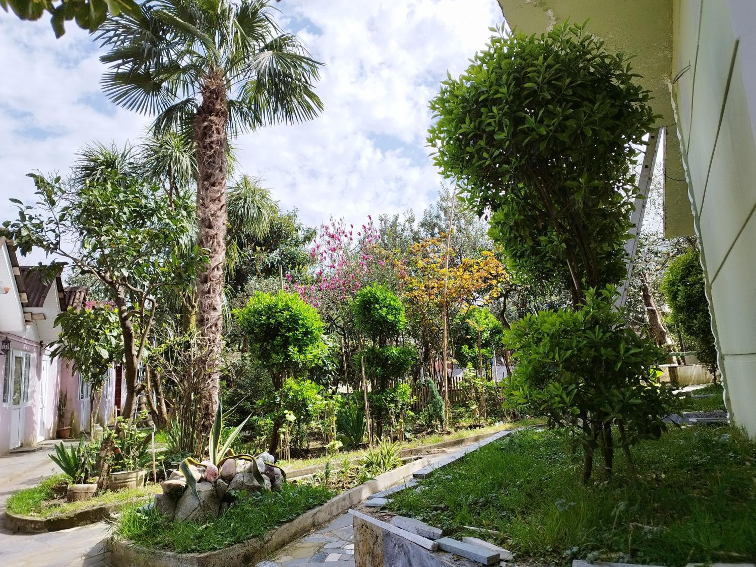 My House (M. Khozrevanidze) view 3
