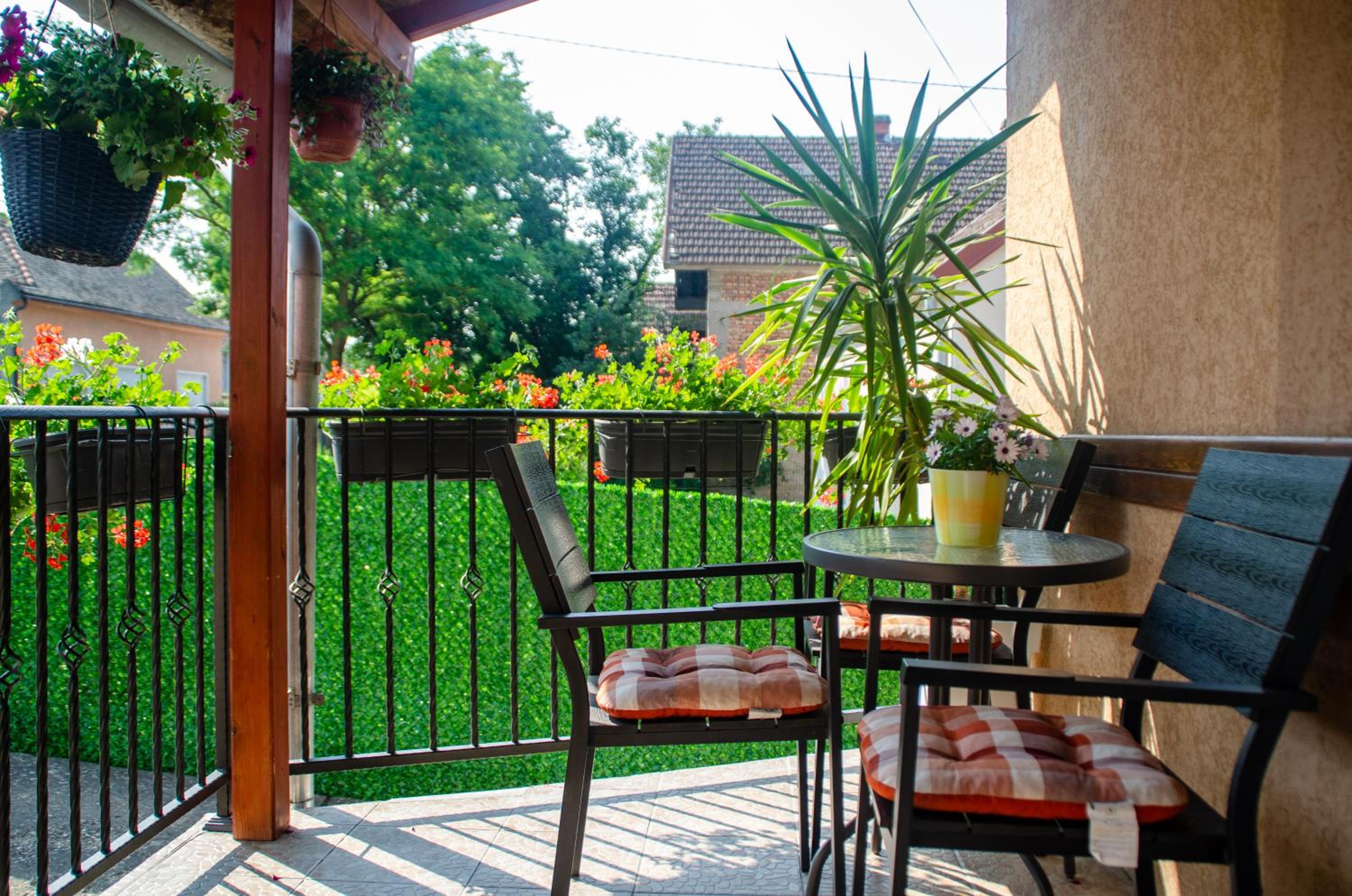 Apartman Mina 2 view 5