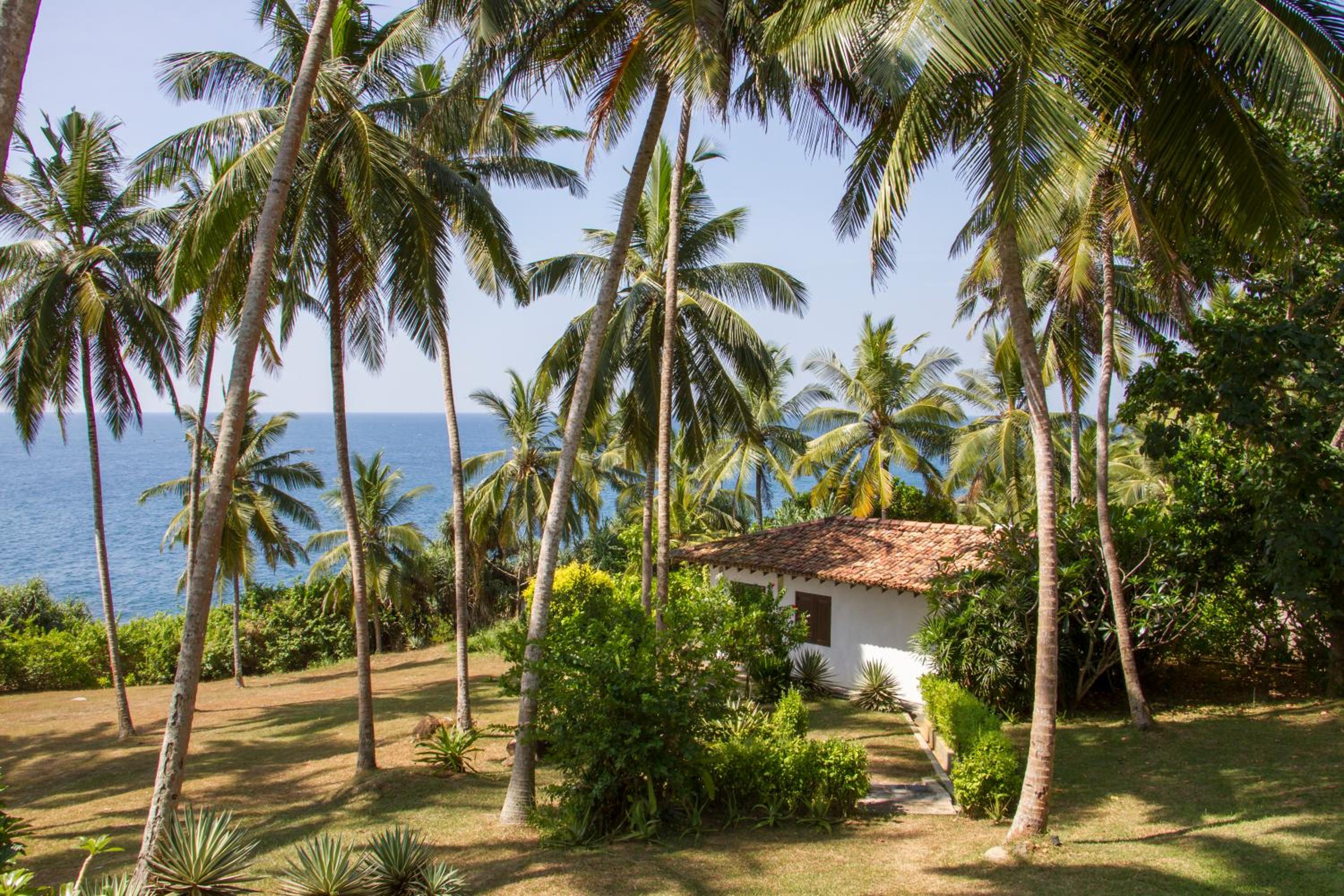 Hotel The Saffron House - Image 1