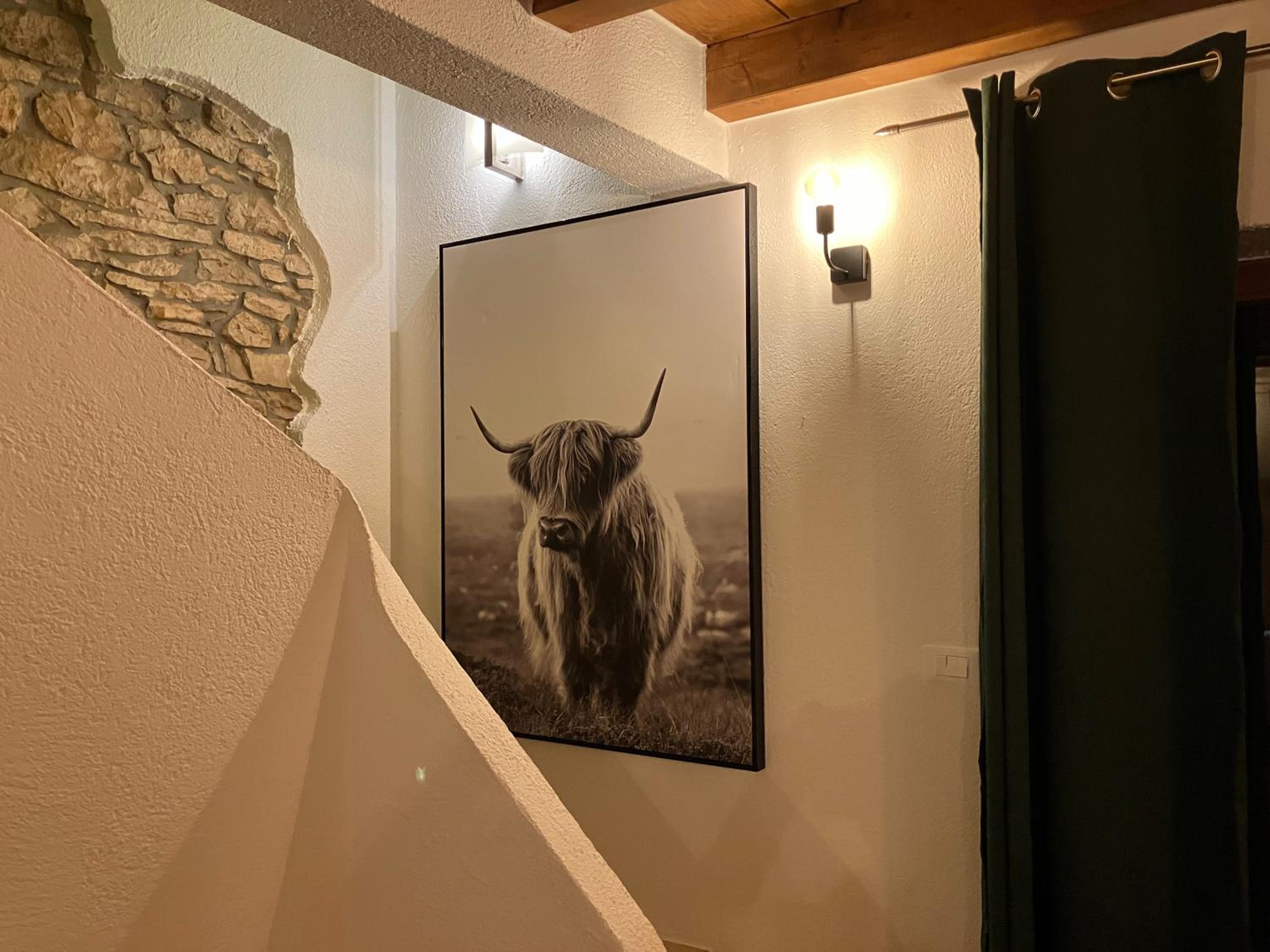 Beautiful stone house in Istria view 3
