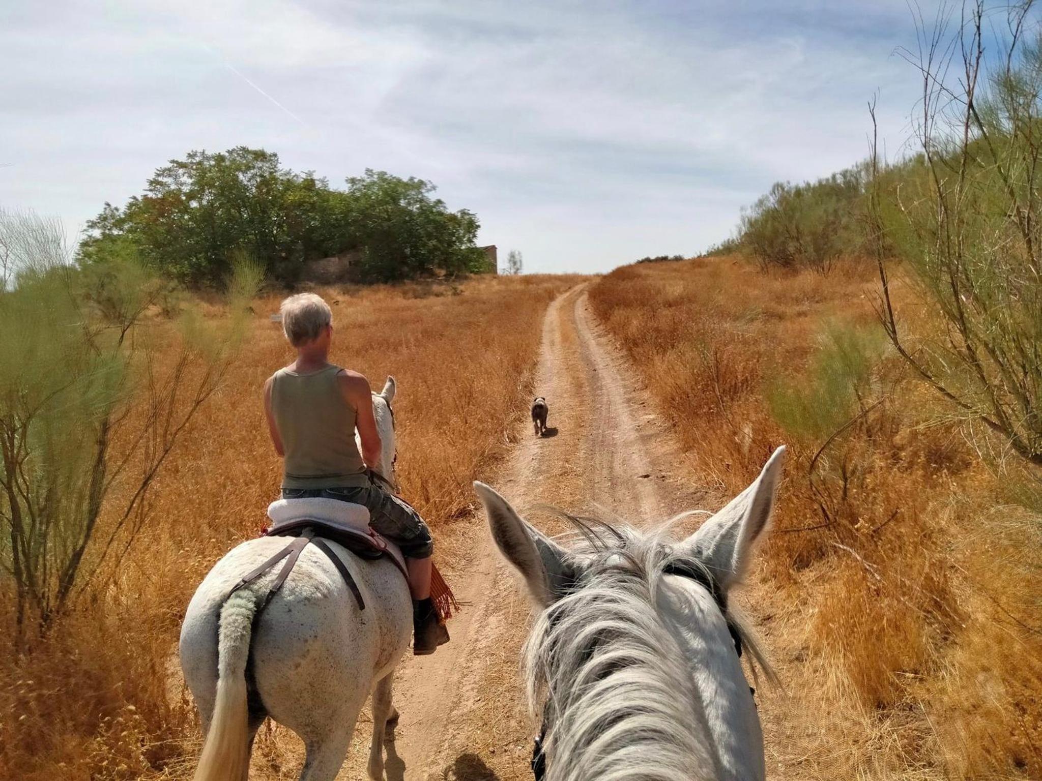 Finca Los Jacaros