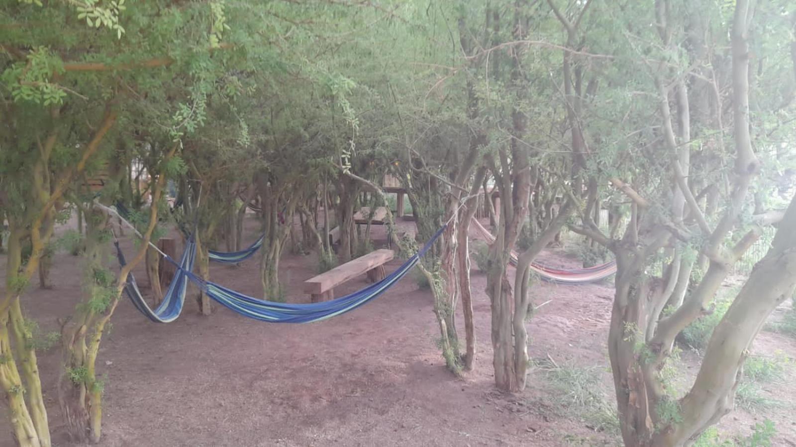 Cabañas el Chañar