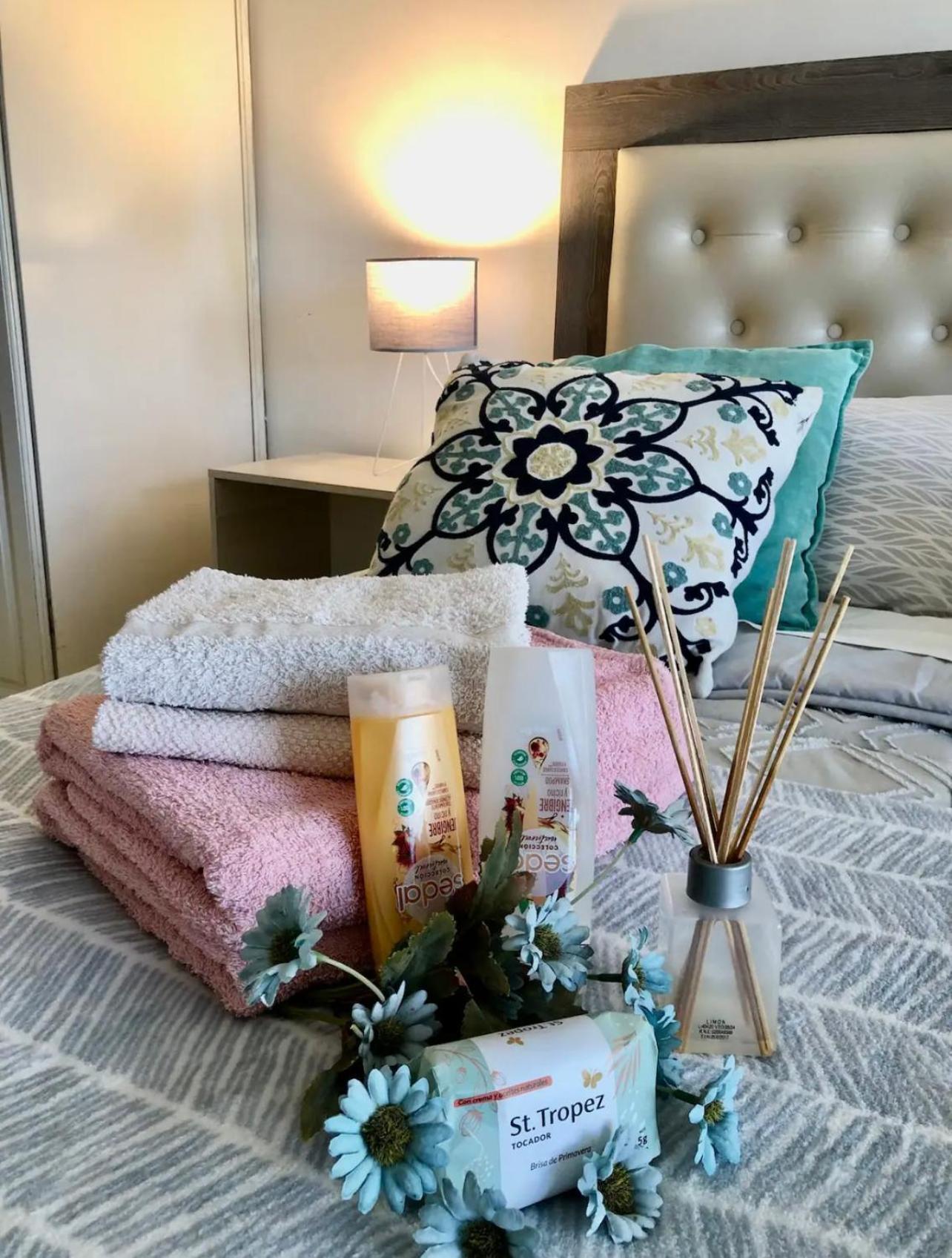 Mendoza Suites 4