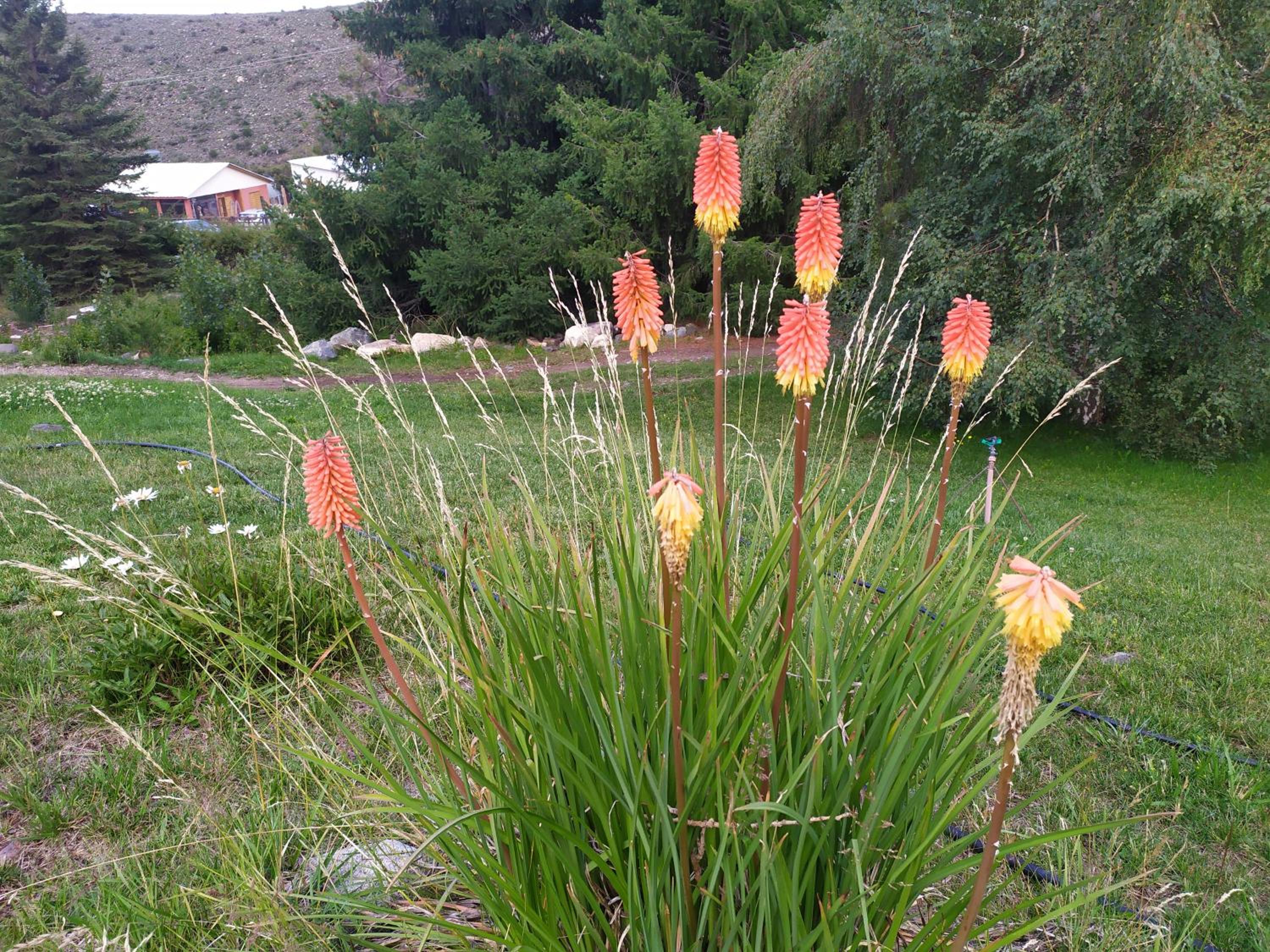 Cabaña Oregones del Valle