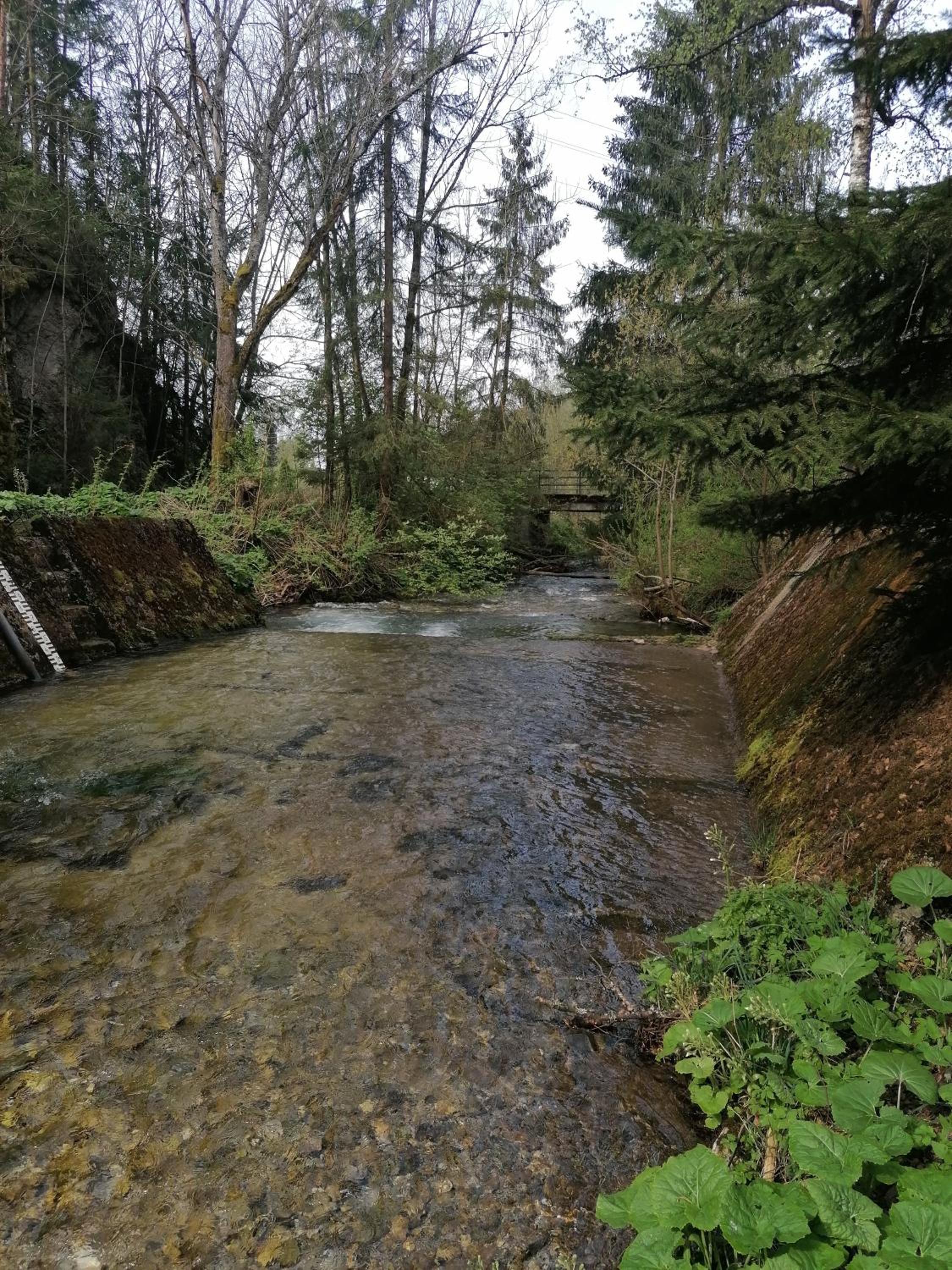 Photo 37