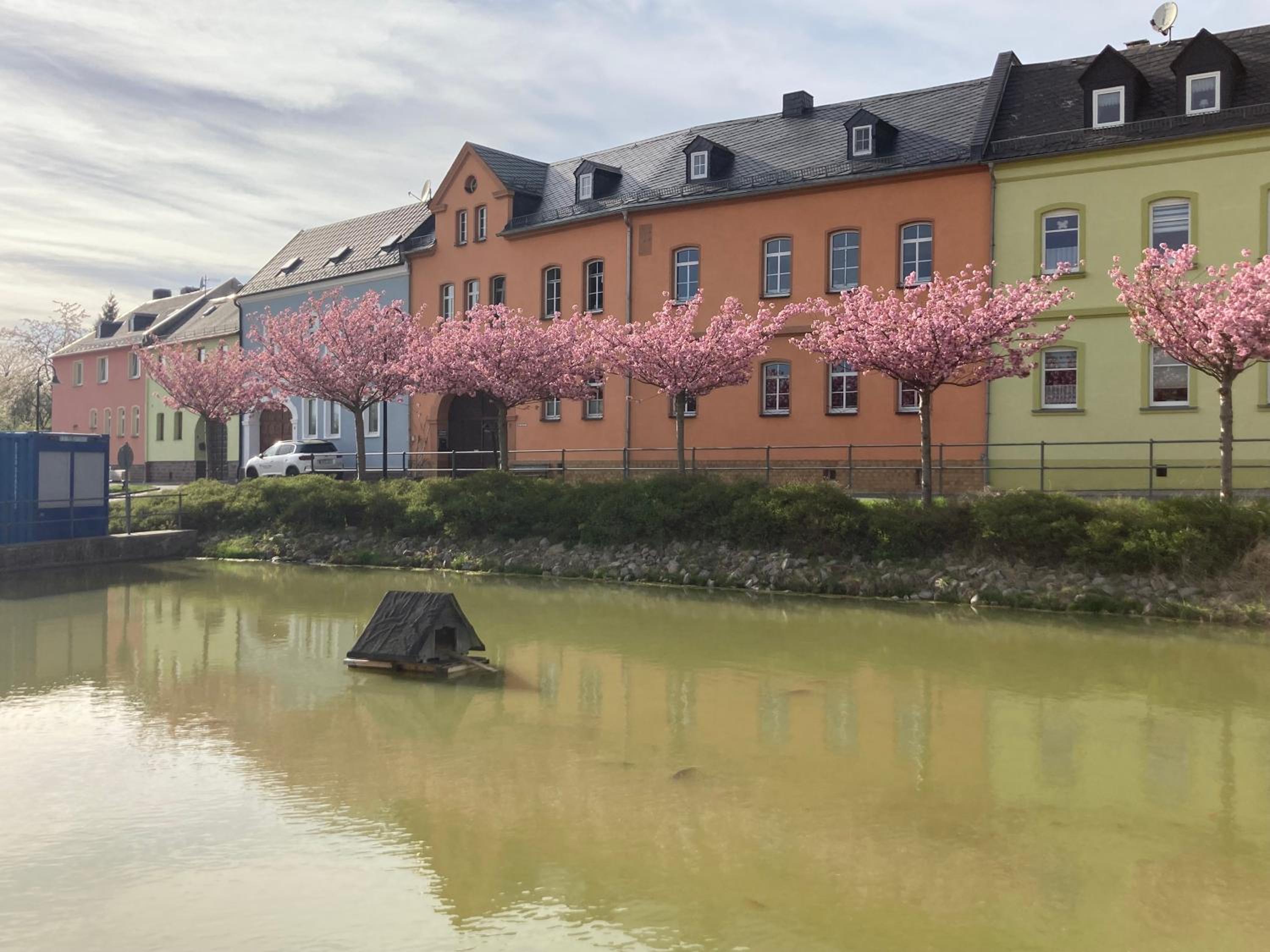 Pension und Ferienwohnung am Teich