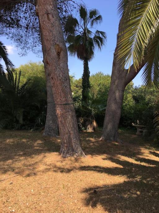 Sa Roqueta Jávea