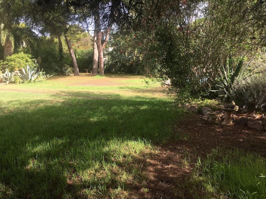 Sa Roqueta Jávea