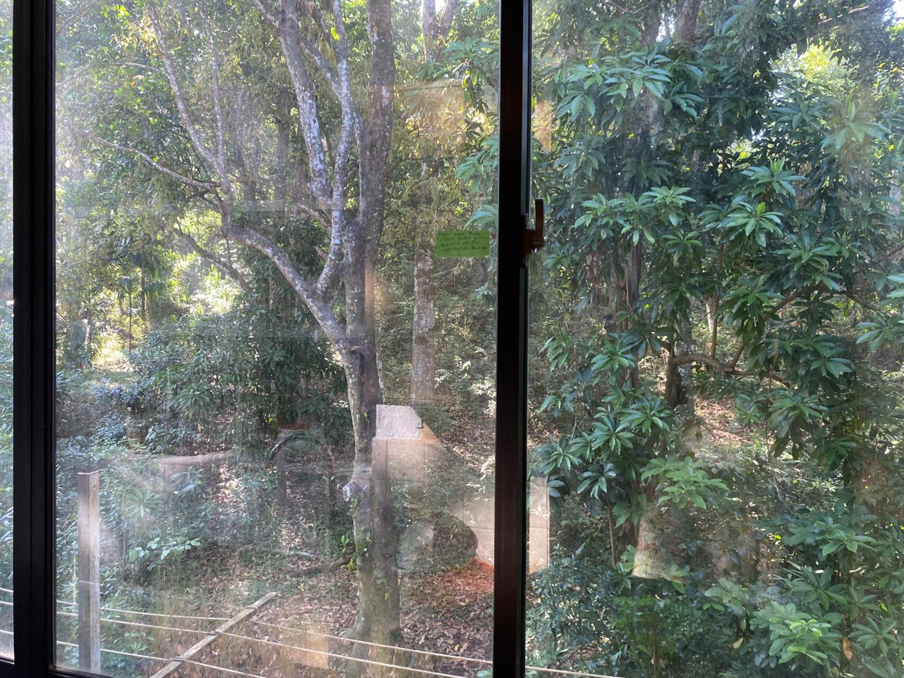 Hanthana Cliffside Apartment view 2
