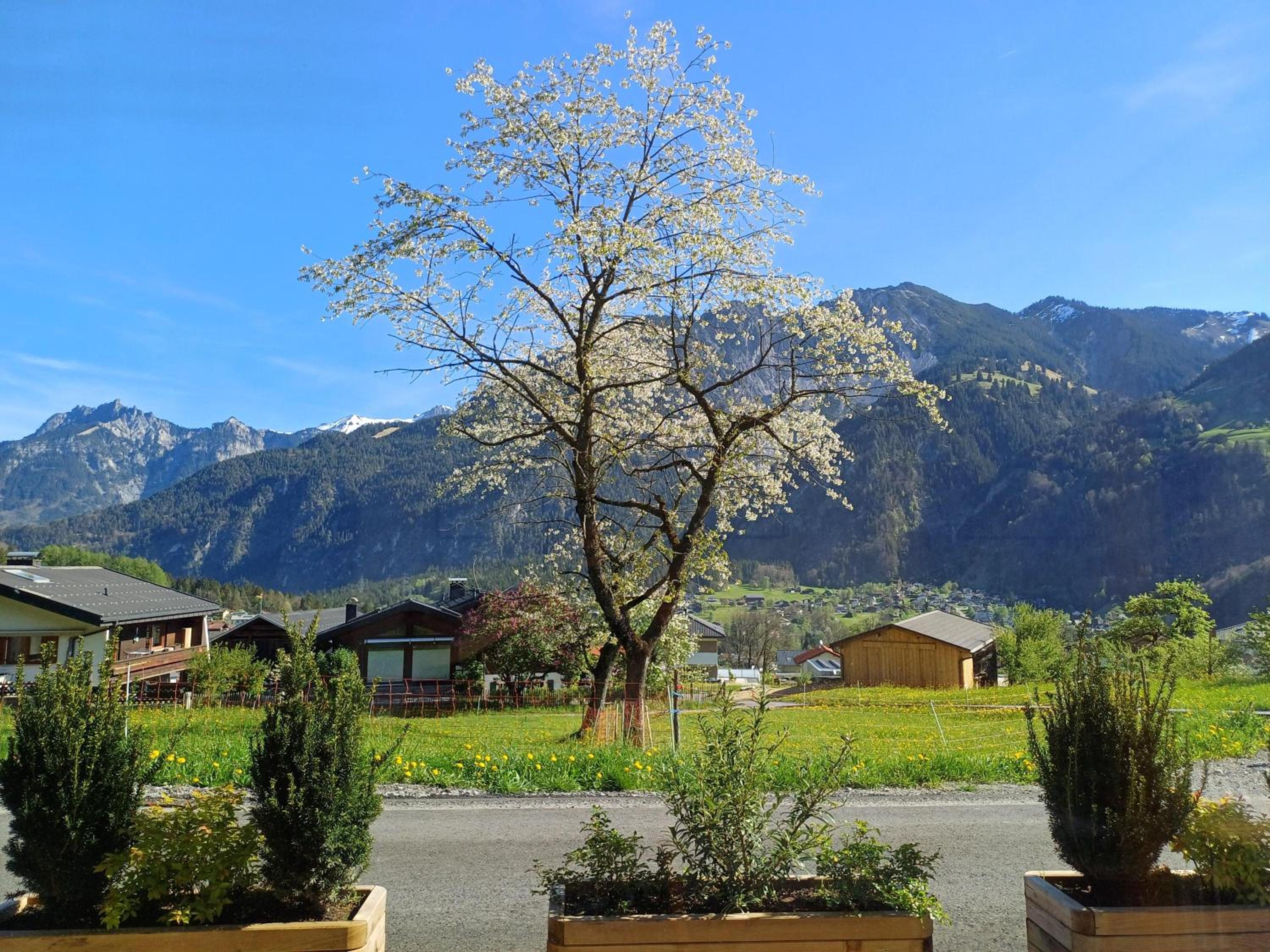 Ferienwohnung Schiebakopf
