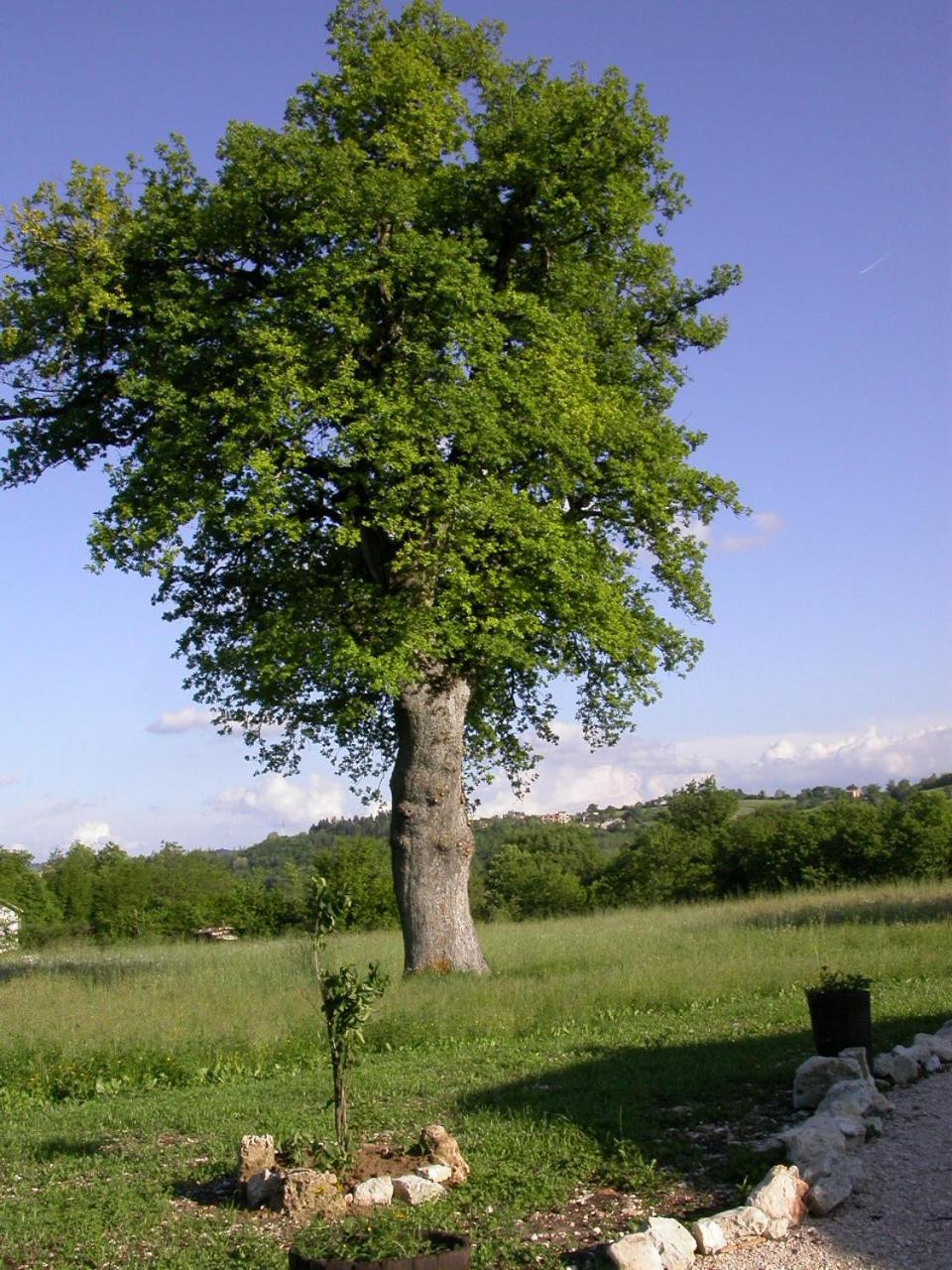 Photo 32