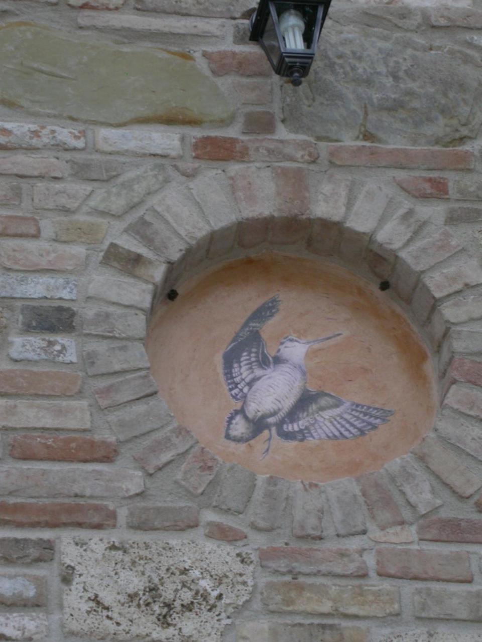 Photo 33