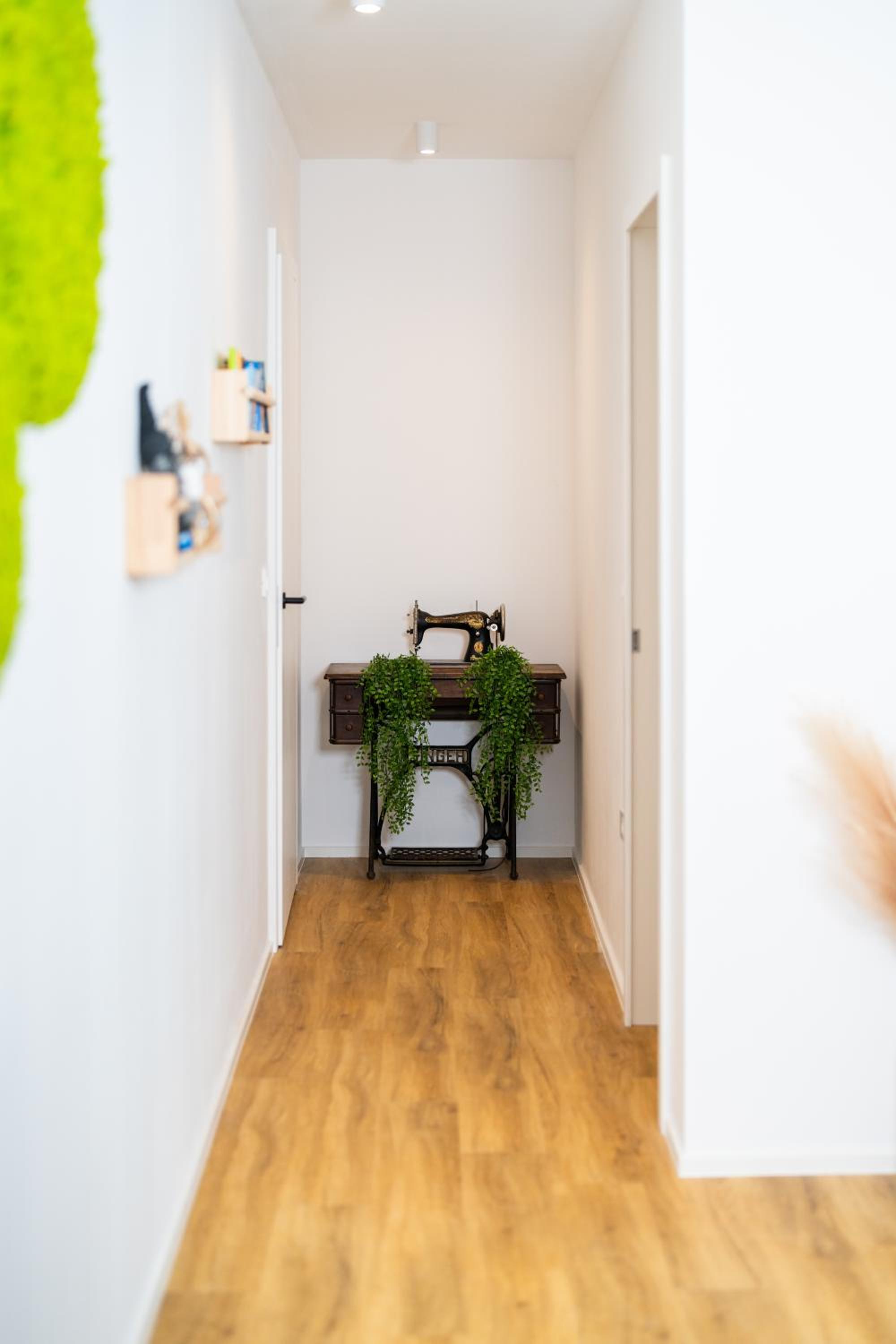 Bubbly Apartment