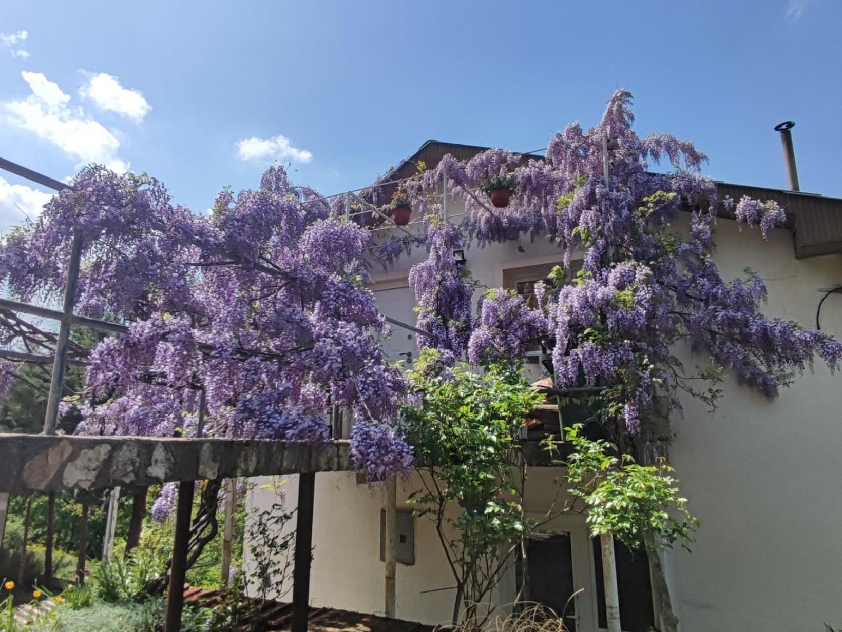 Vila Fantastico