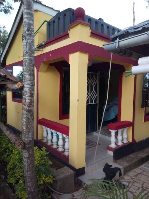 Stay with Daktari Homes view 5