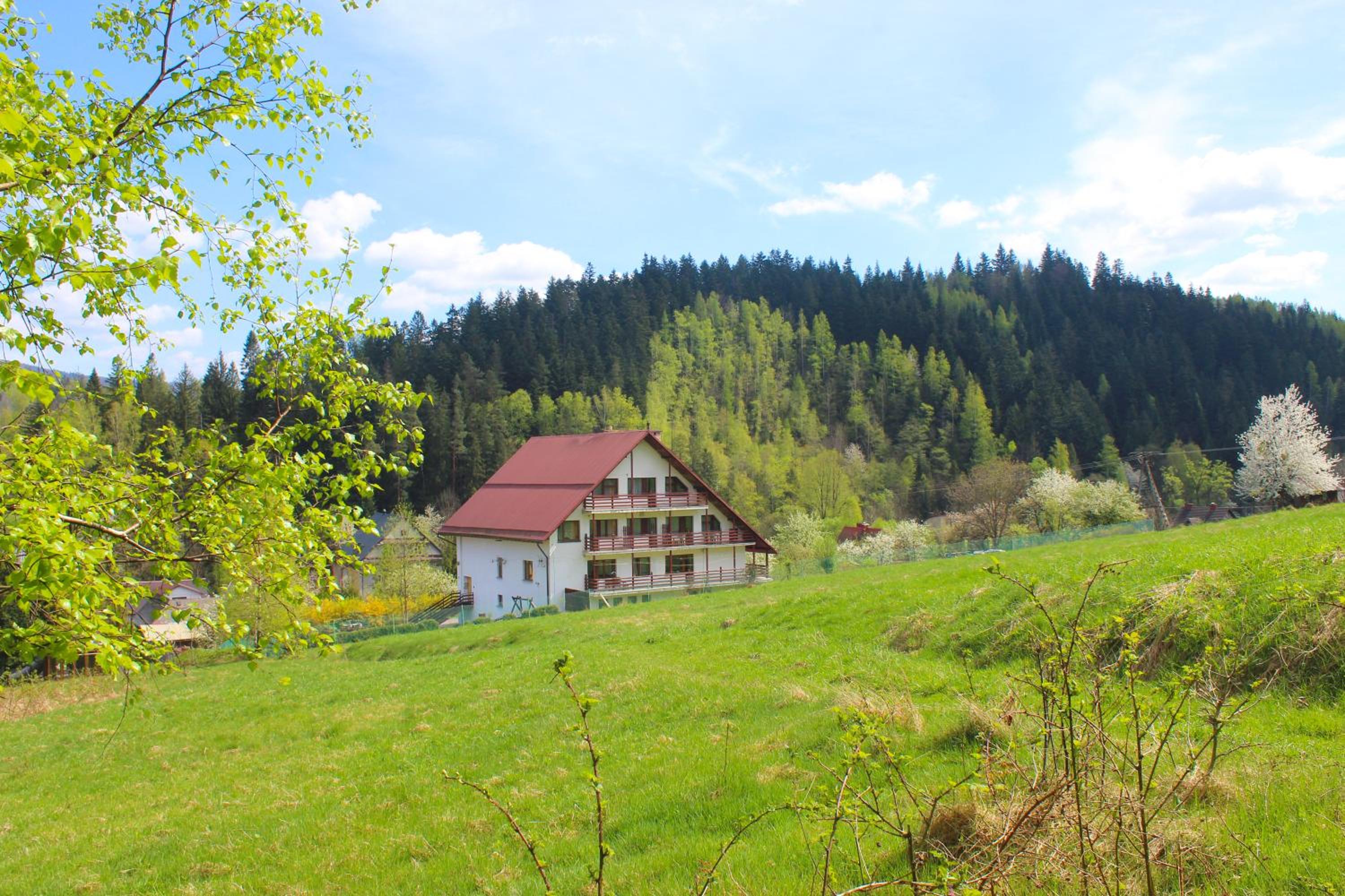 Photo 12