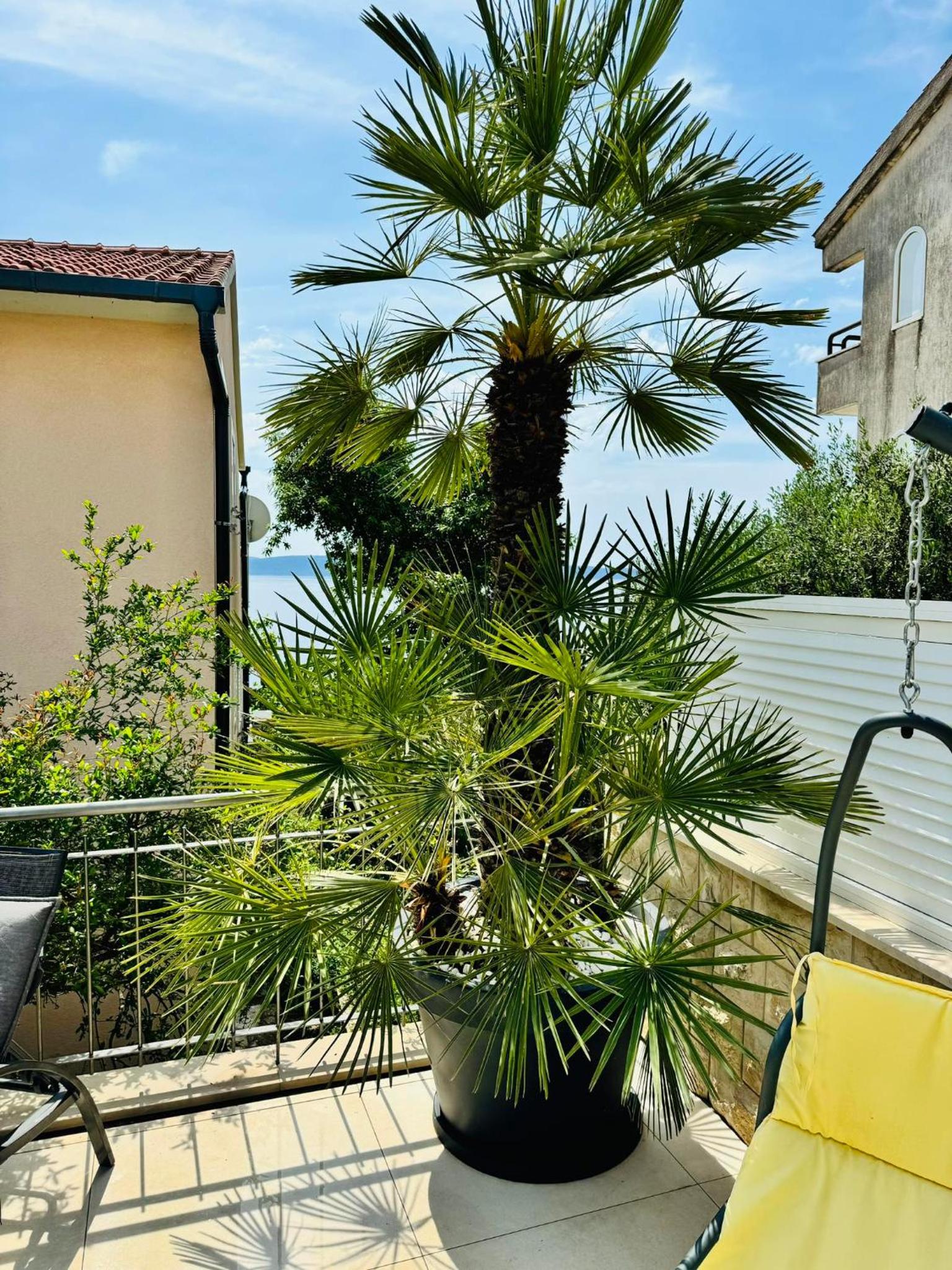 Villa Sirenis