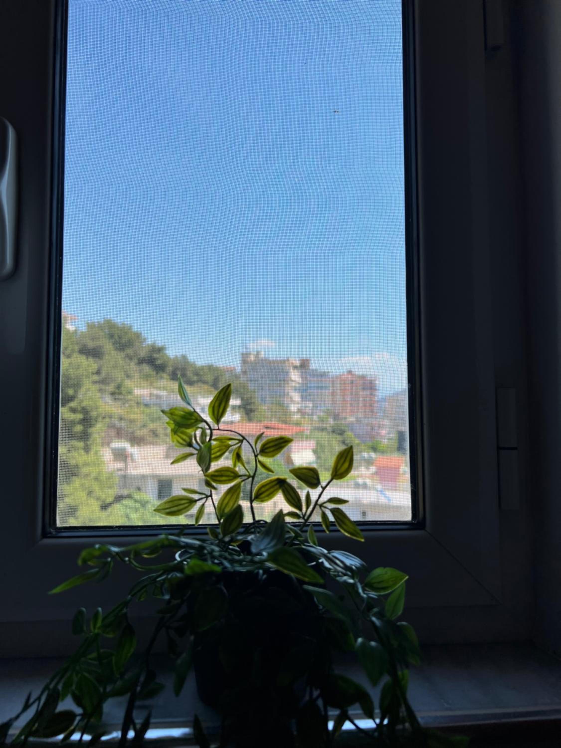 View Apartment OB