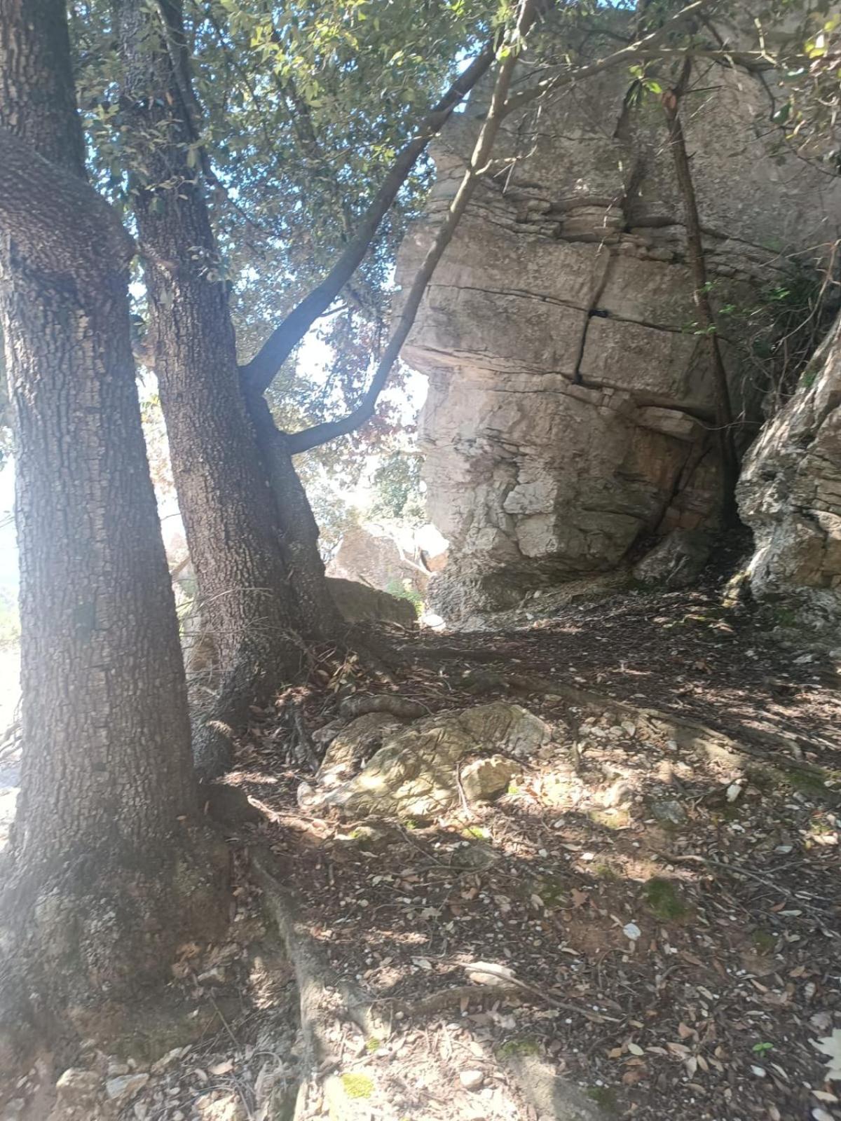 Photo 21