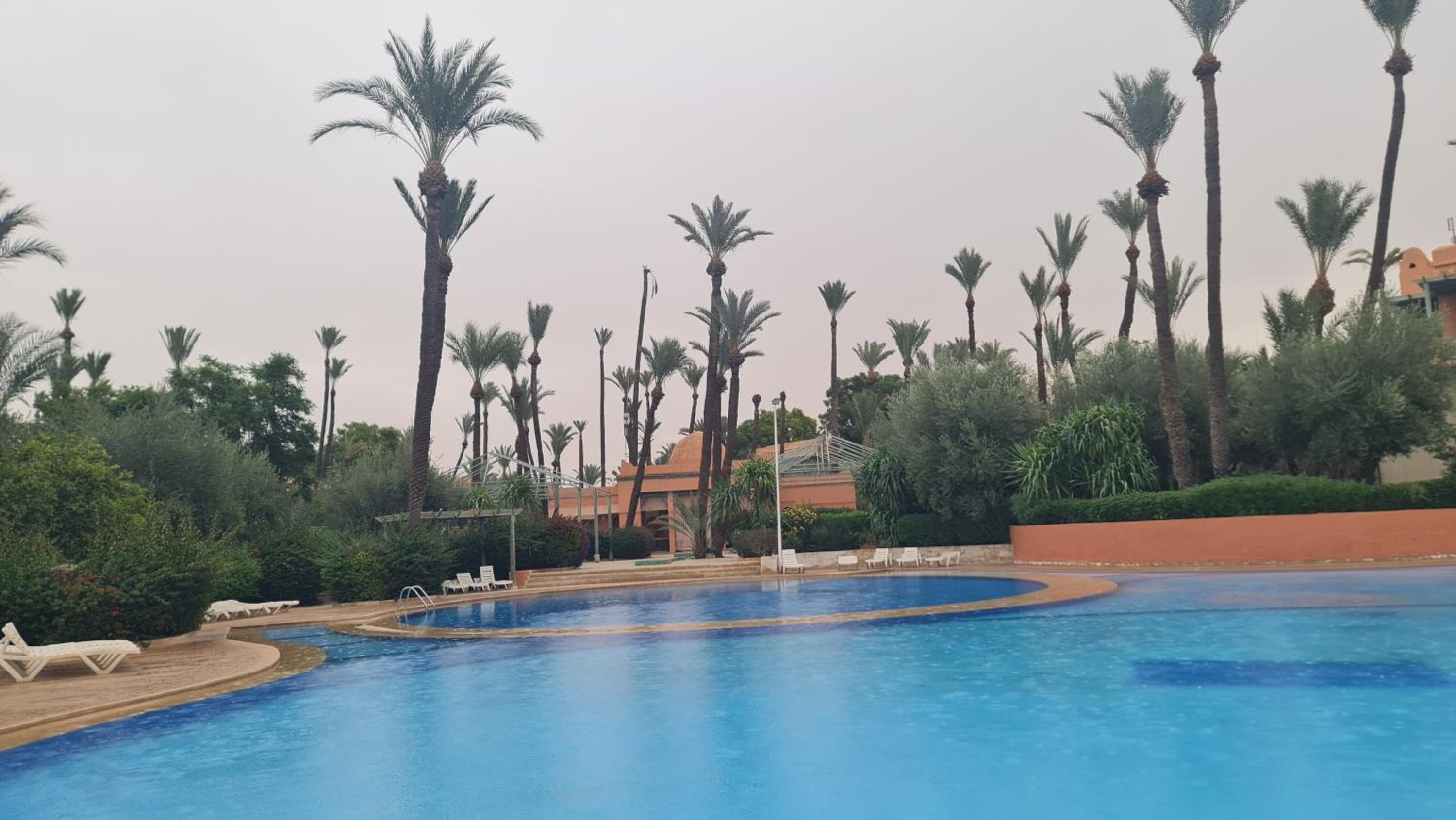 Family Stay aux jardins de la palmeraie
