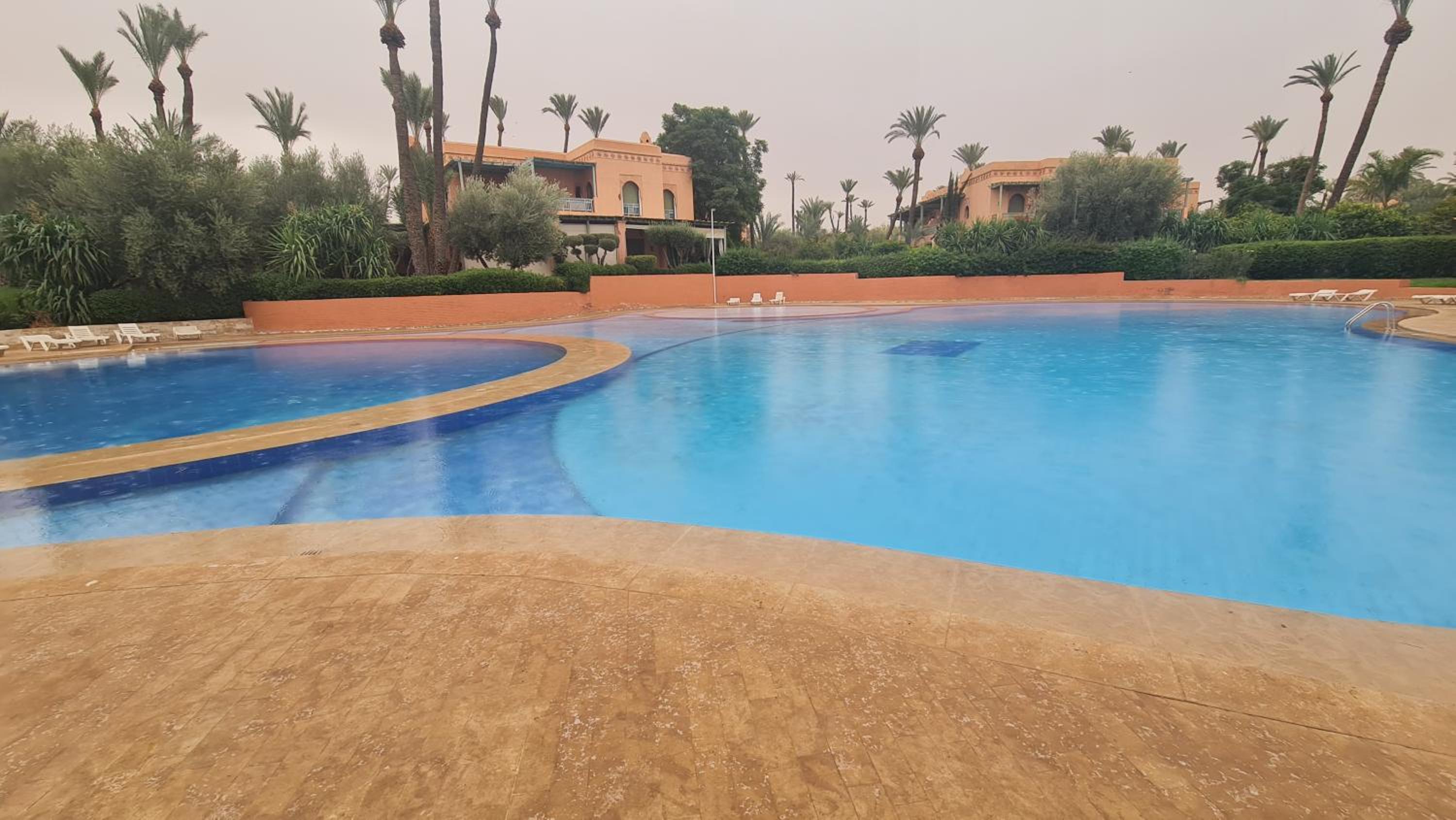 Family Stay aux jardins de la palmeraie