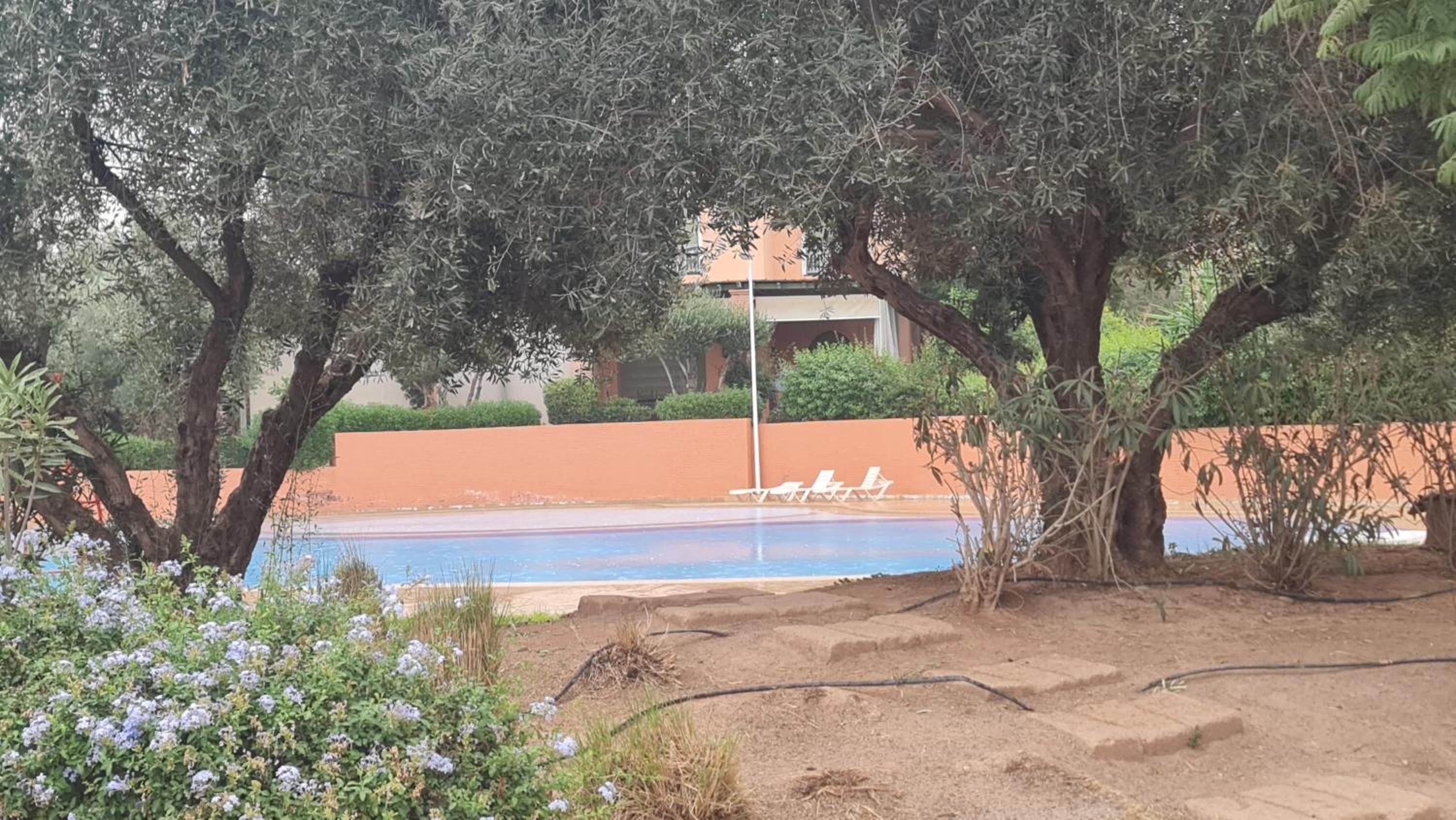 Family Stay aux jardins de la palmeraie