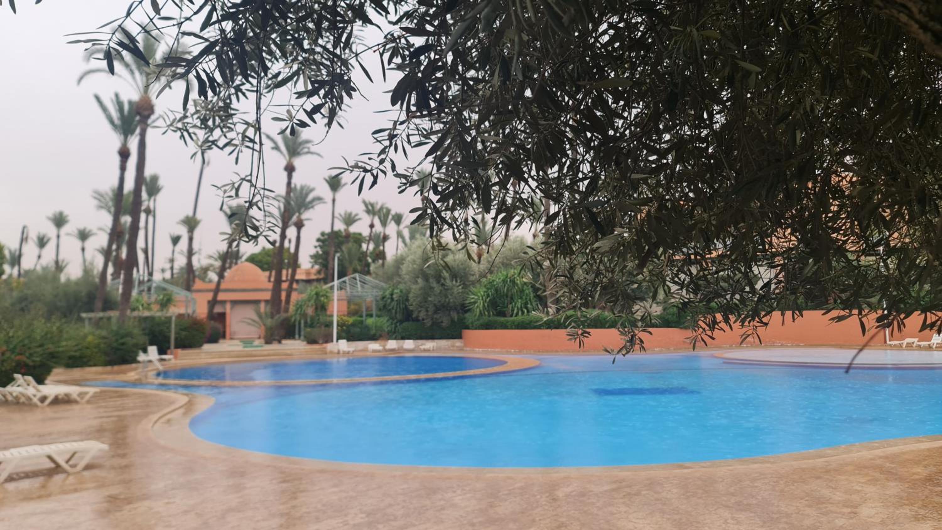 Family Stay aux jardins de la palmeraie