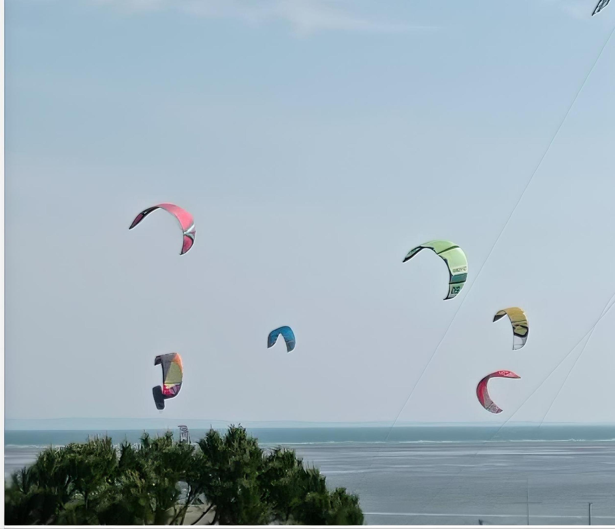 Seaview Beach Front Grado Pineta Andromeda