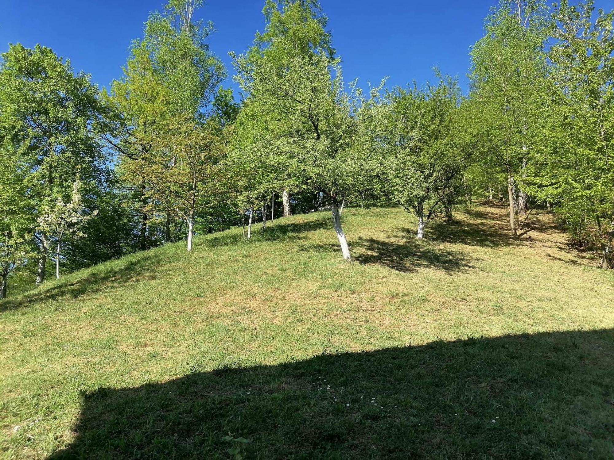 Sarajevo Holiday Apartments 1