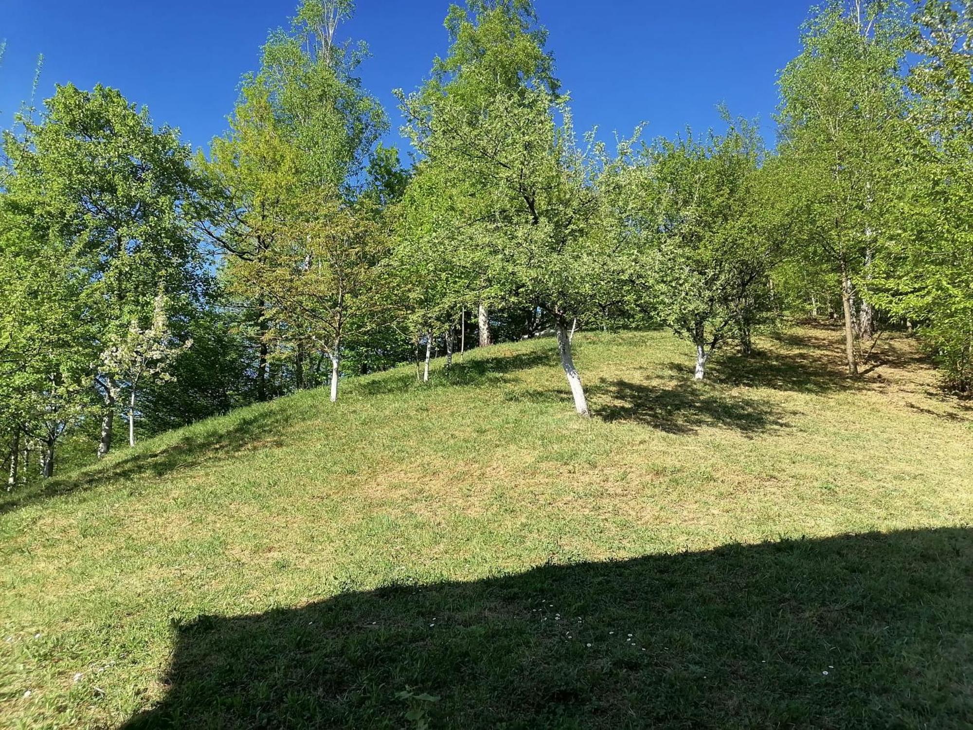 Sarajevo Holiday Apartments 1