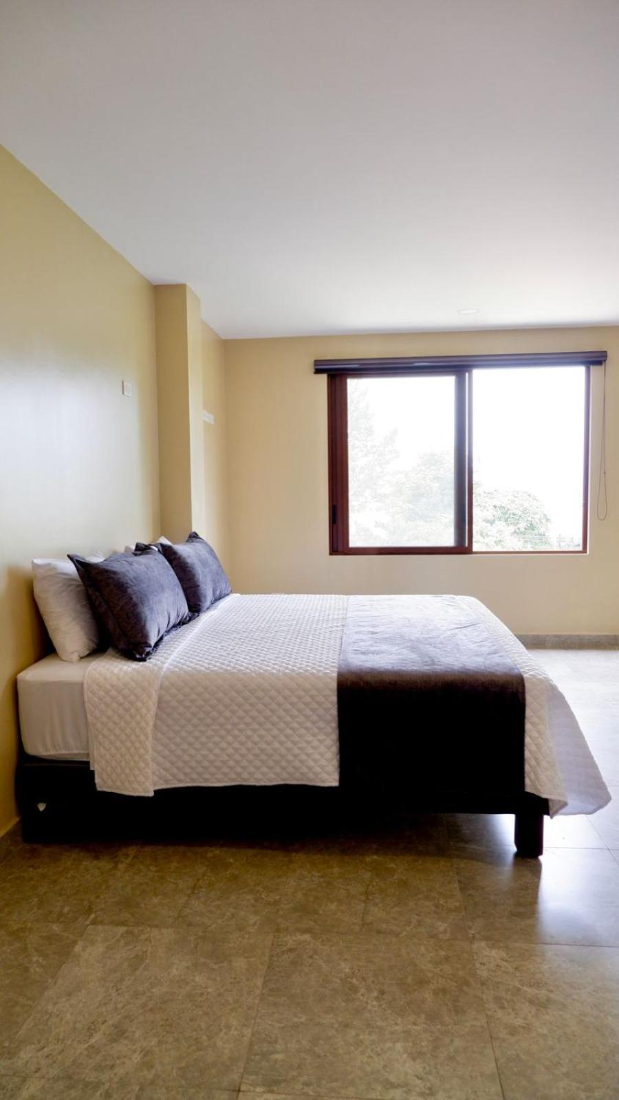 Paradise Project Hostal view 3