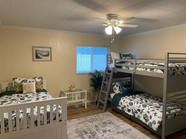 Tropical Tranquility In South Hutchinson Beach view 4