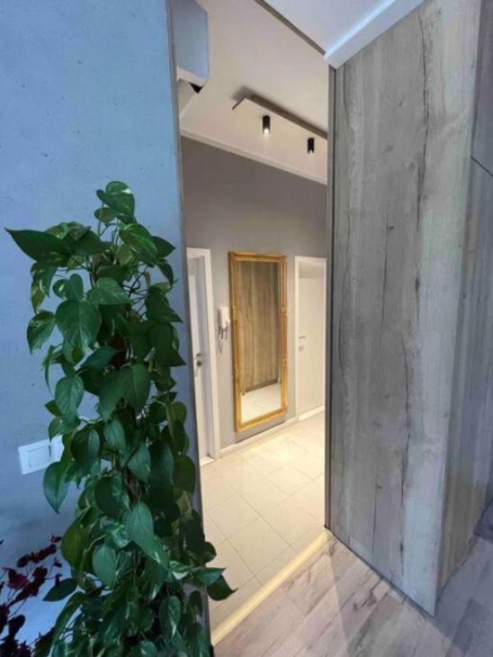 Cozy apartment