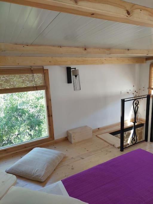 Afionas Das Grüne Haus view 2