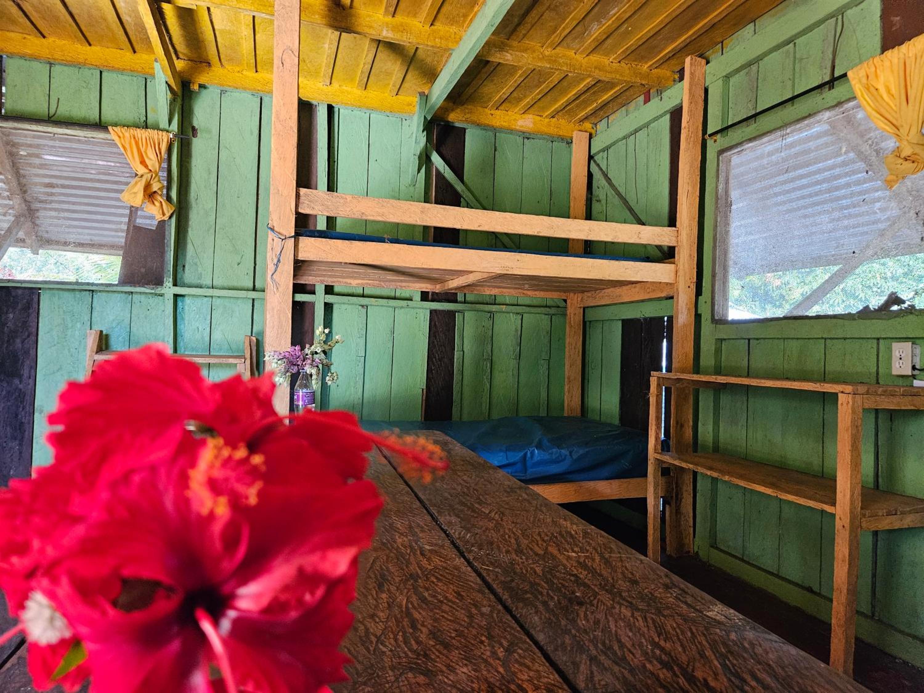 Amazon Jungle lodge -Experencia Indigena Yagua