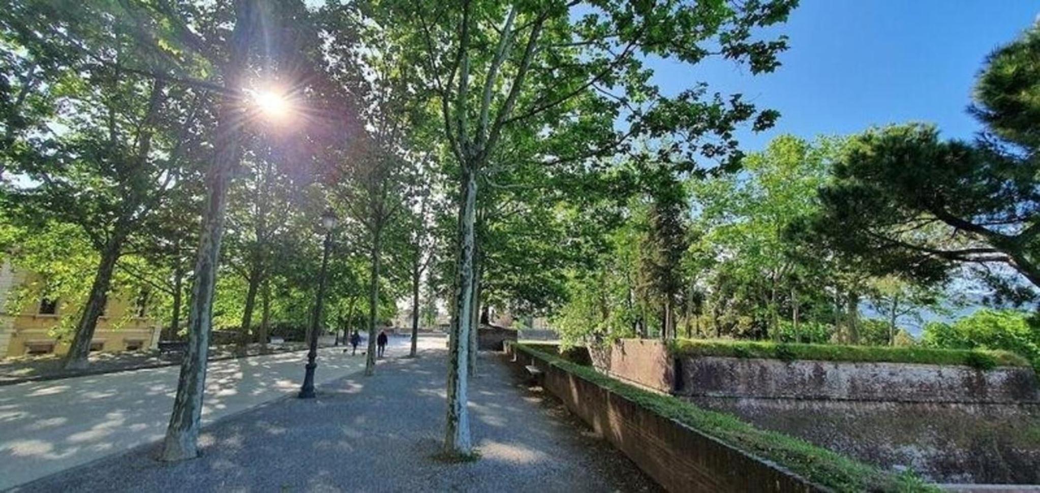 Ferienwohnung für 6 Personen ca 170 qm in Lucca, Toskana Provinz Lucca view 4
