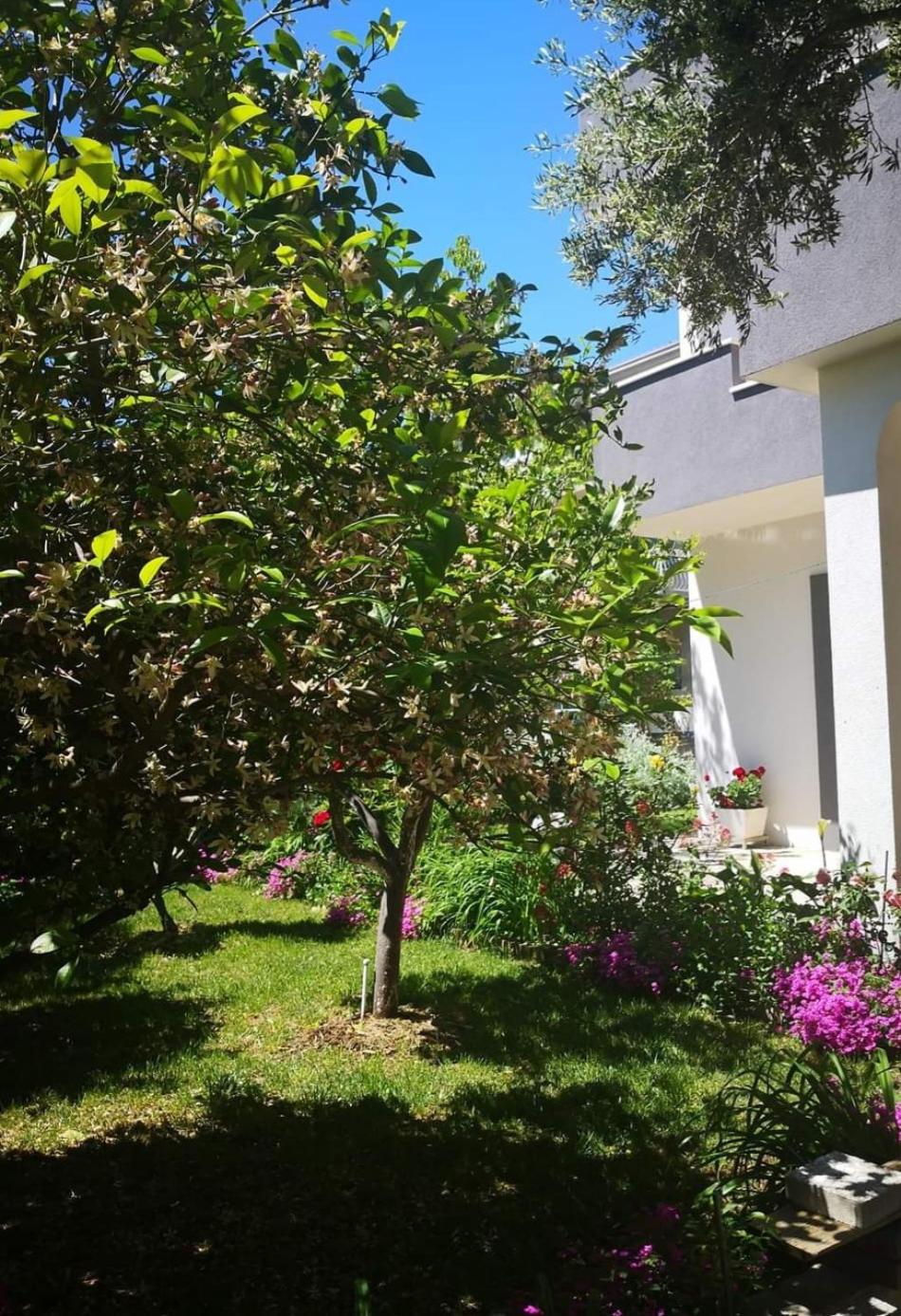 Hotel Apartmani Dianna - Image 1