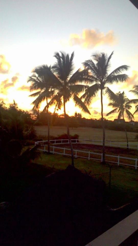 Eden Villa