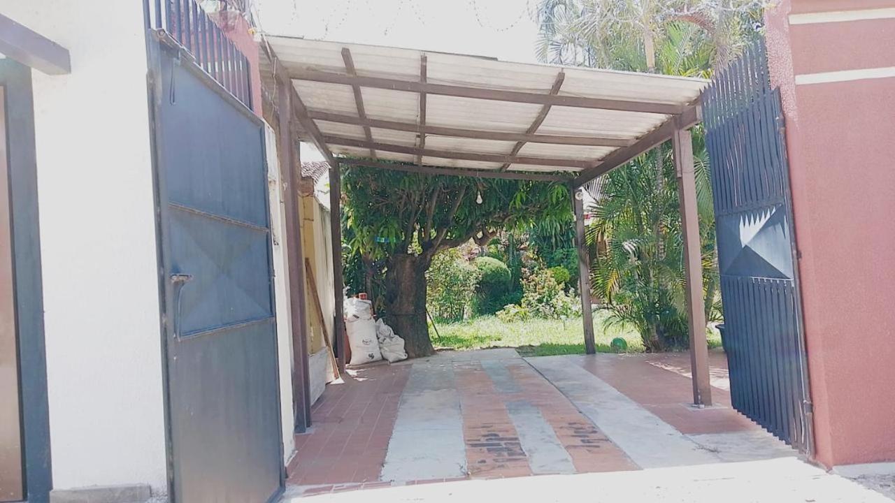 Oasis