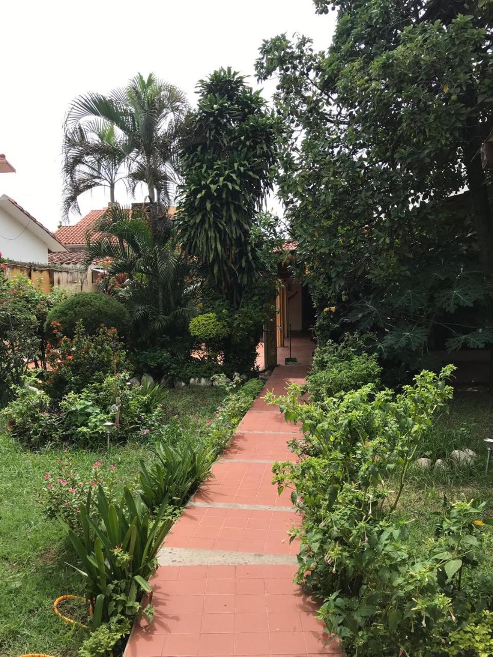Oasis