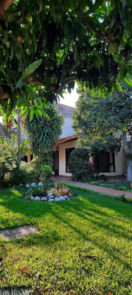 Oasis