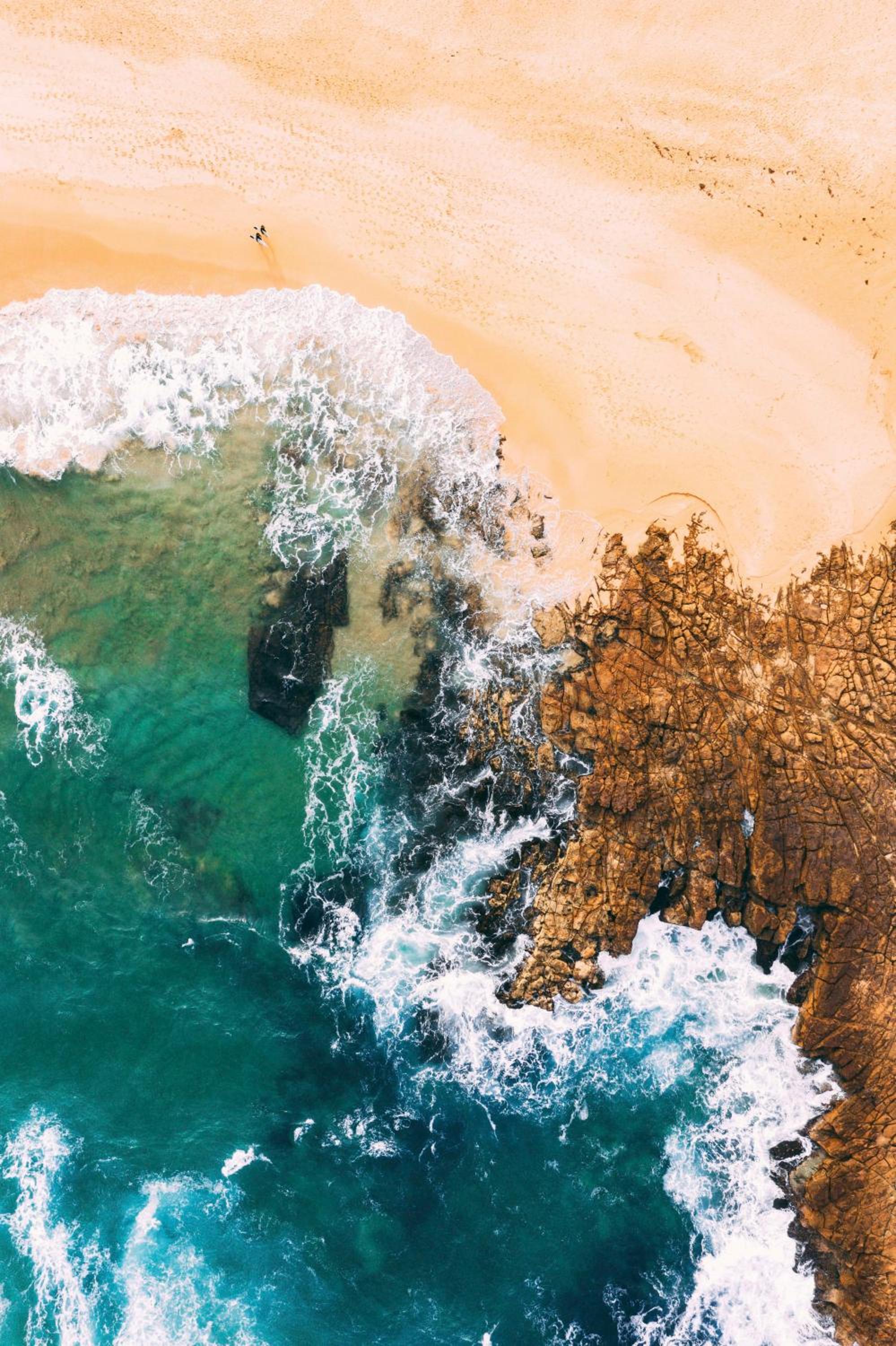Surf Lodge Avoca Beach Waterfront to Avoca Lake