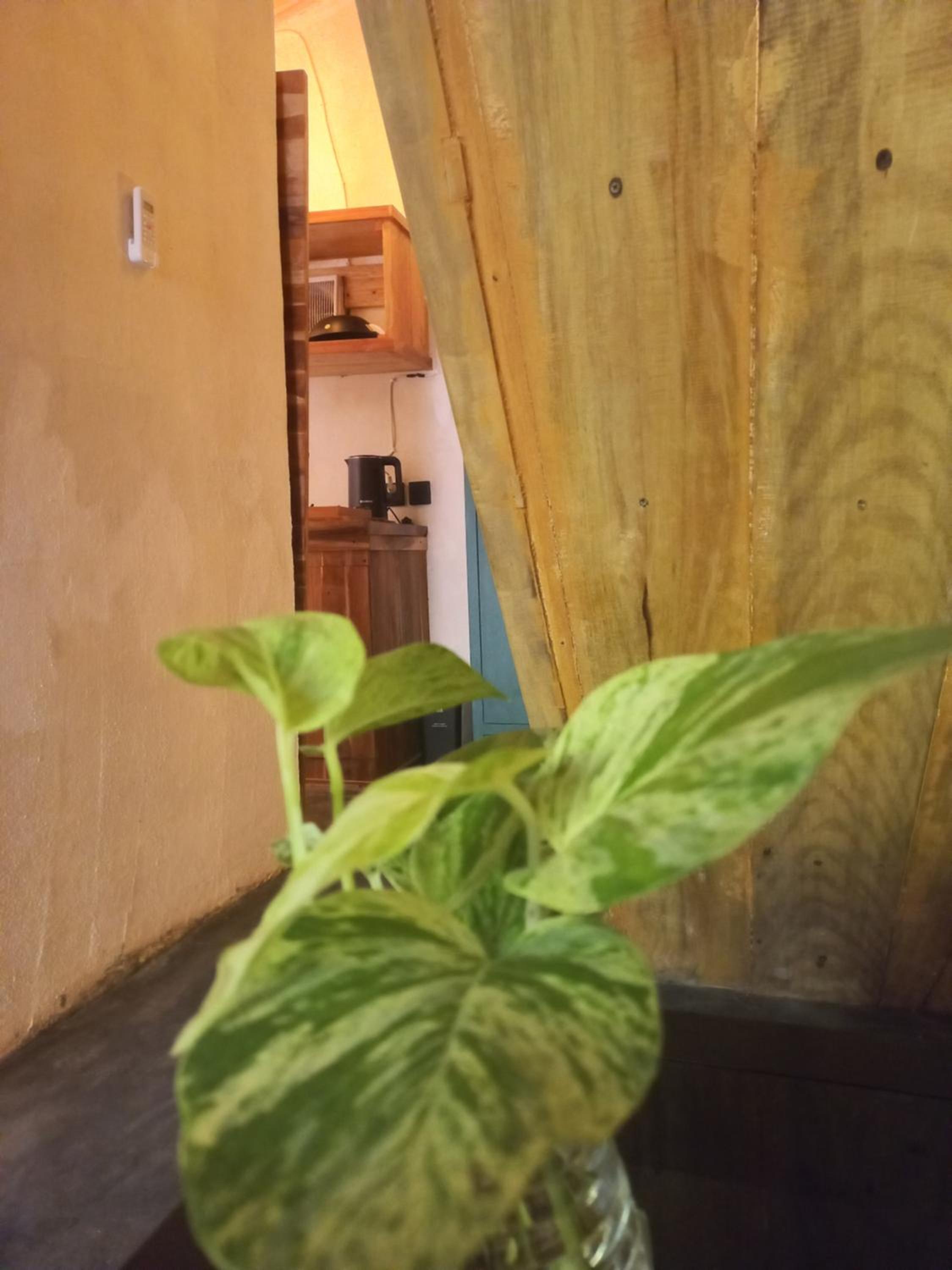 Mini Smole Cabin view 3
